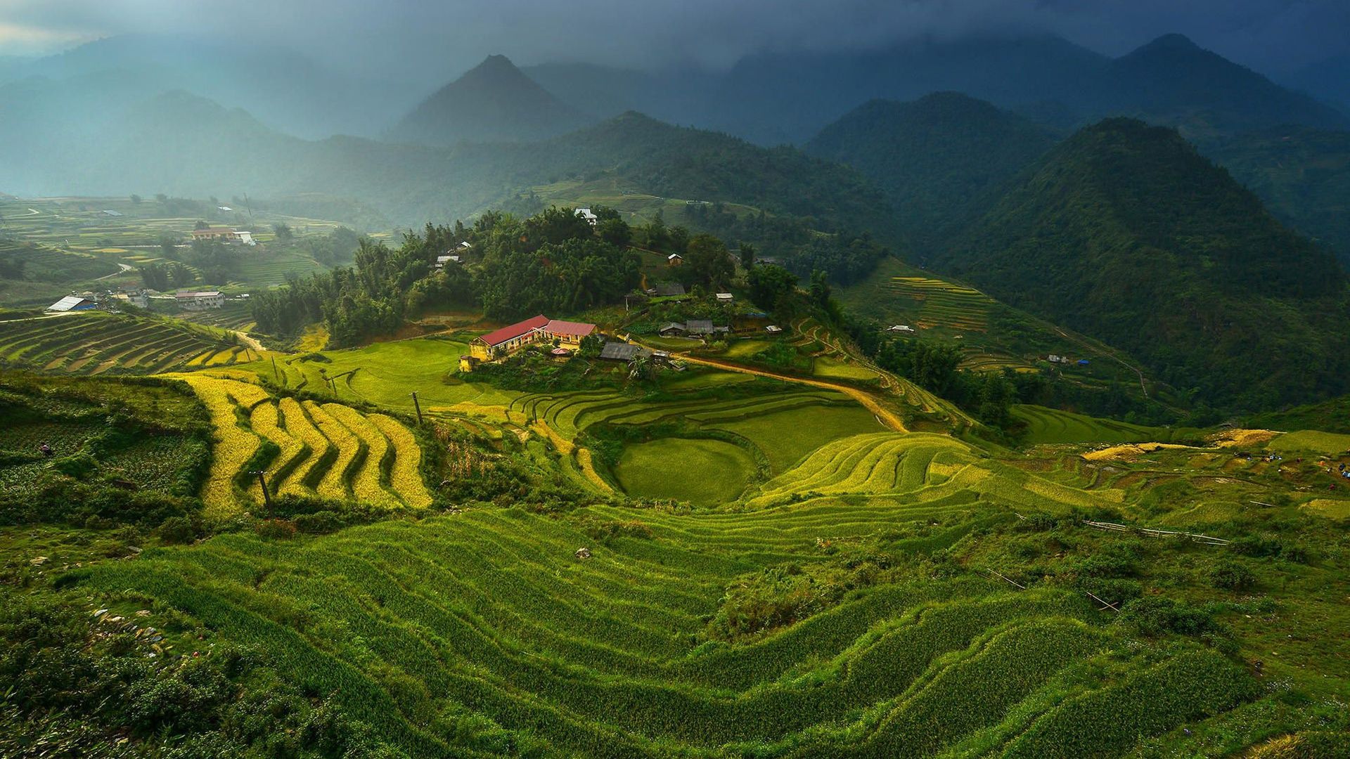 Rice Terraces Vietnam Asia desktop PC and Mac wallpaper