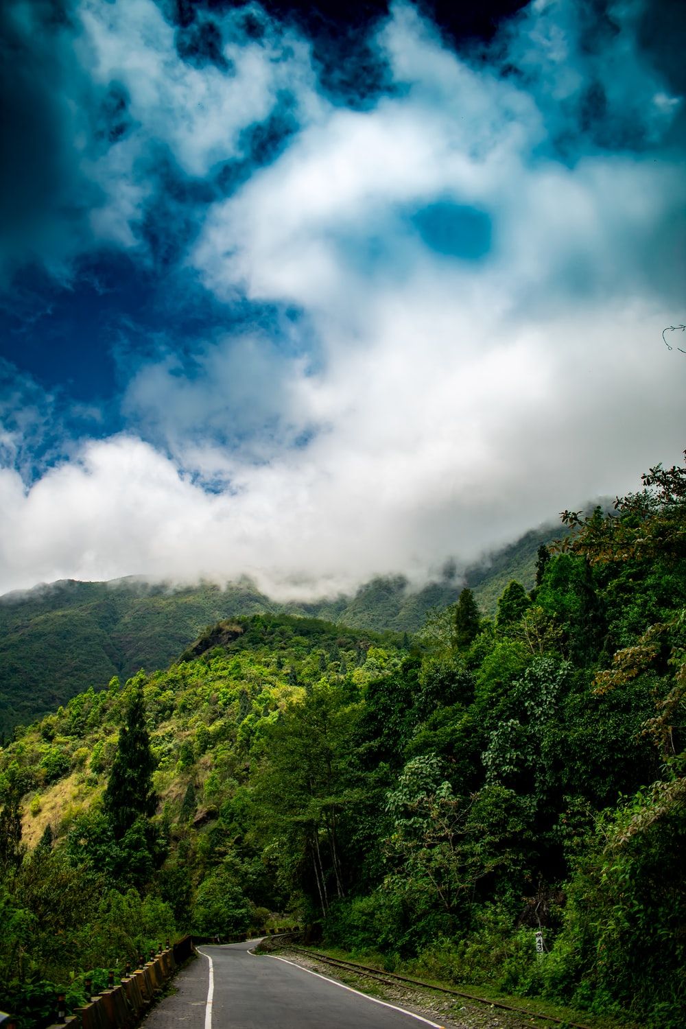 Kurseong, Darjeeling, India Picture. Download Free Image
