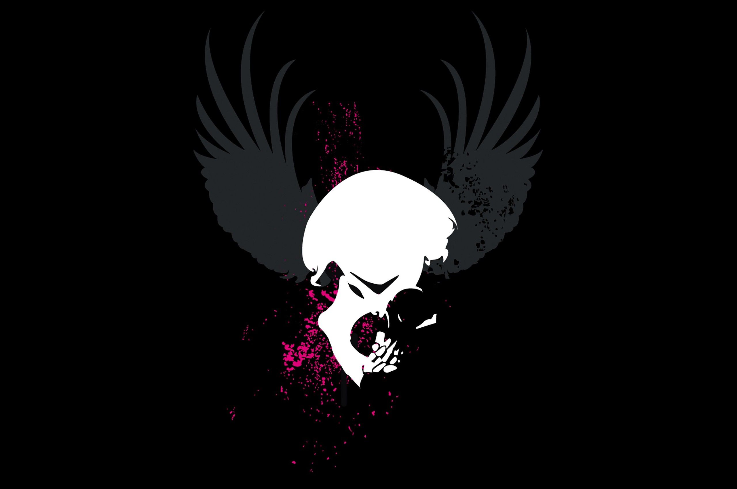 Skull Grunge Wings Dark Chromebook Pixel HD 4k