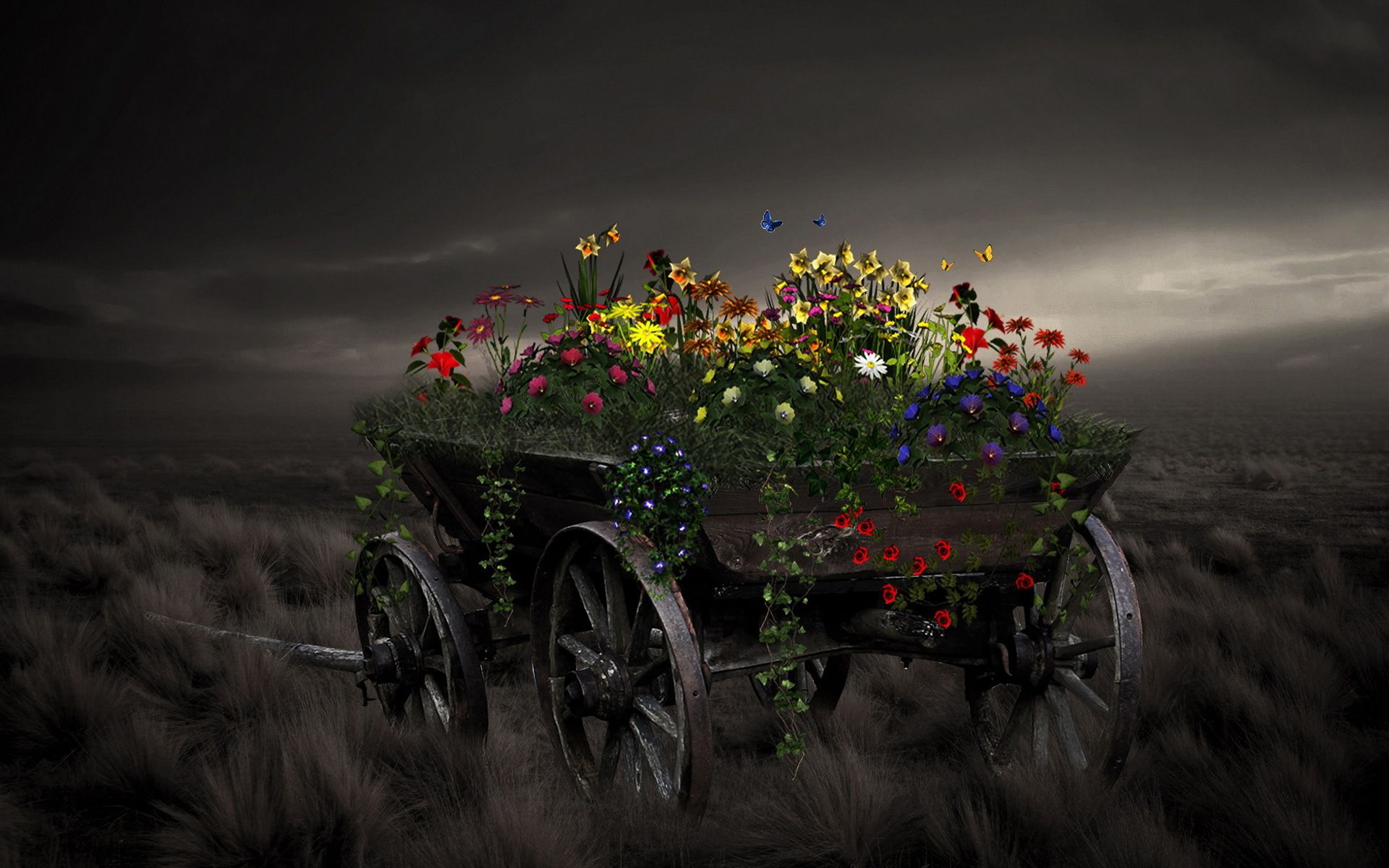 Grass, style, cart wallpaper and image, picture