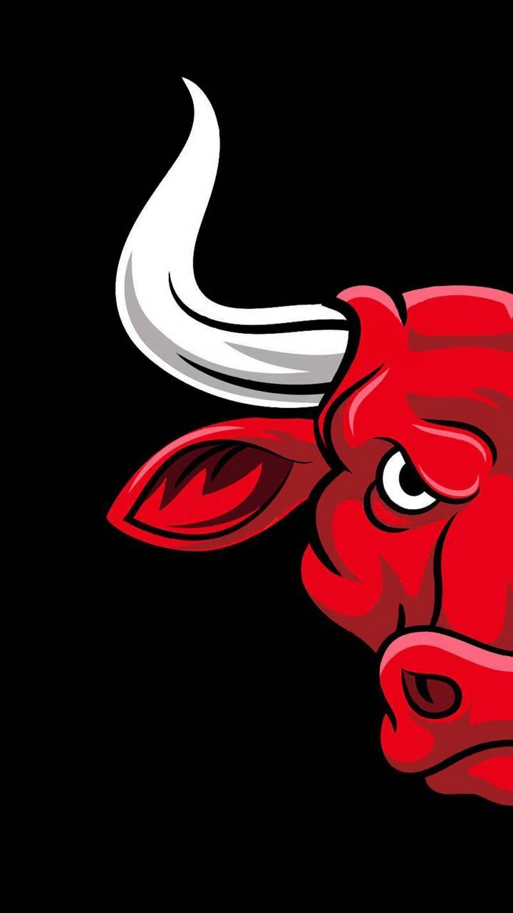 Download Chicago Bulls wallpaper