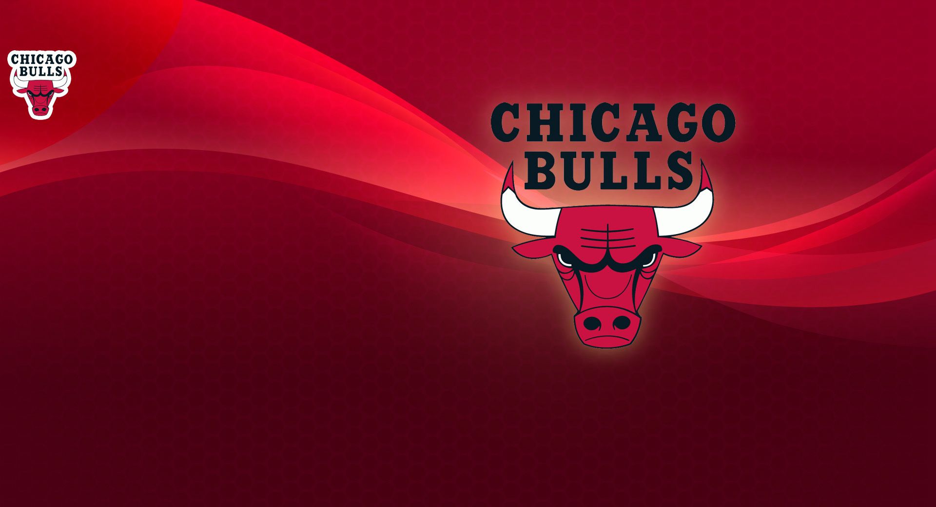 Chicago Bulls Logo 23088
