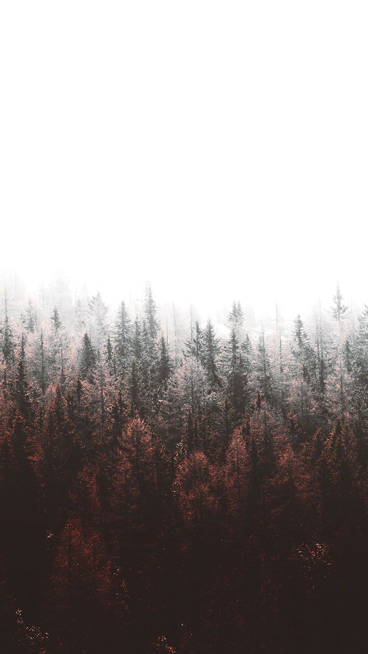 Tap To Download Free Forest iPhone X Wallpaper By Xr