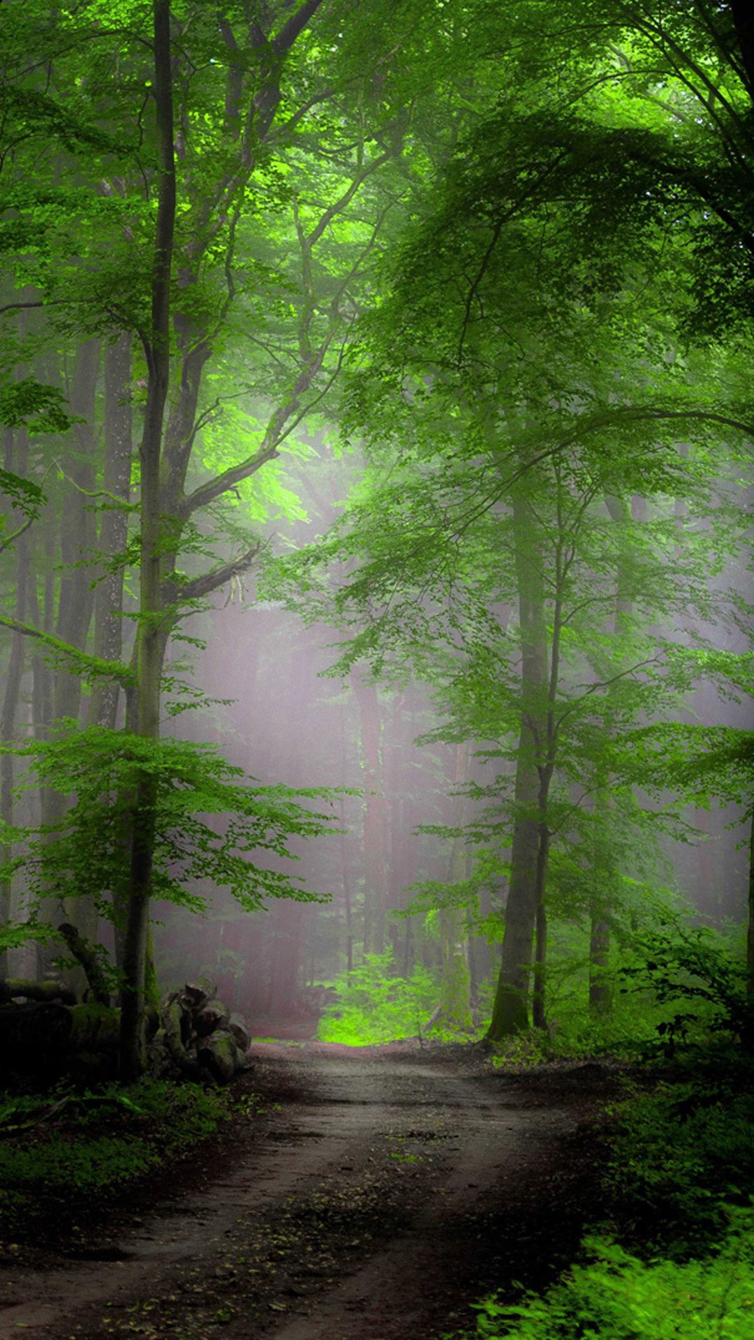 iPhone Forest Wallpapers - Wallpaper Cave
