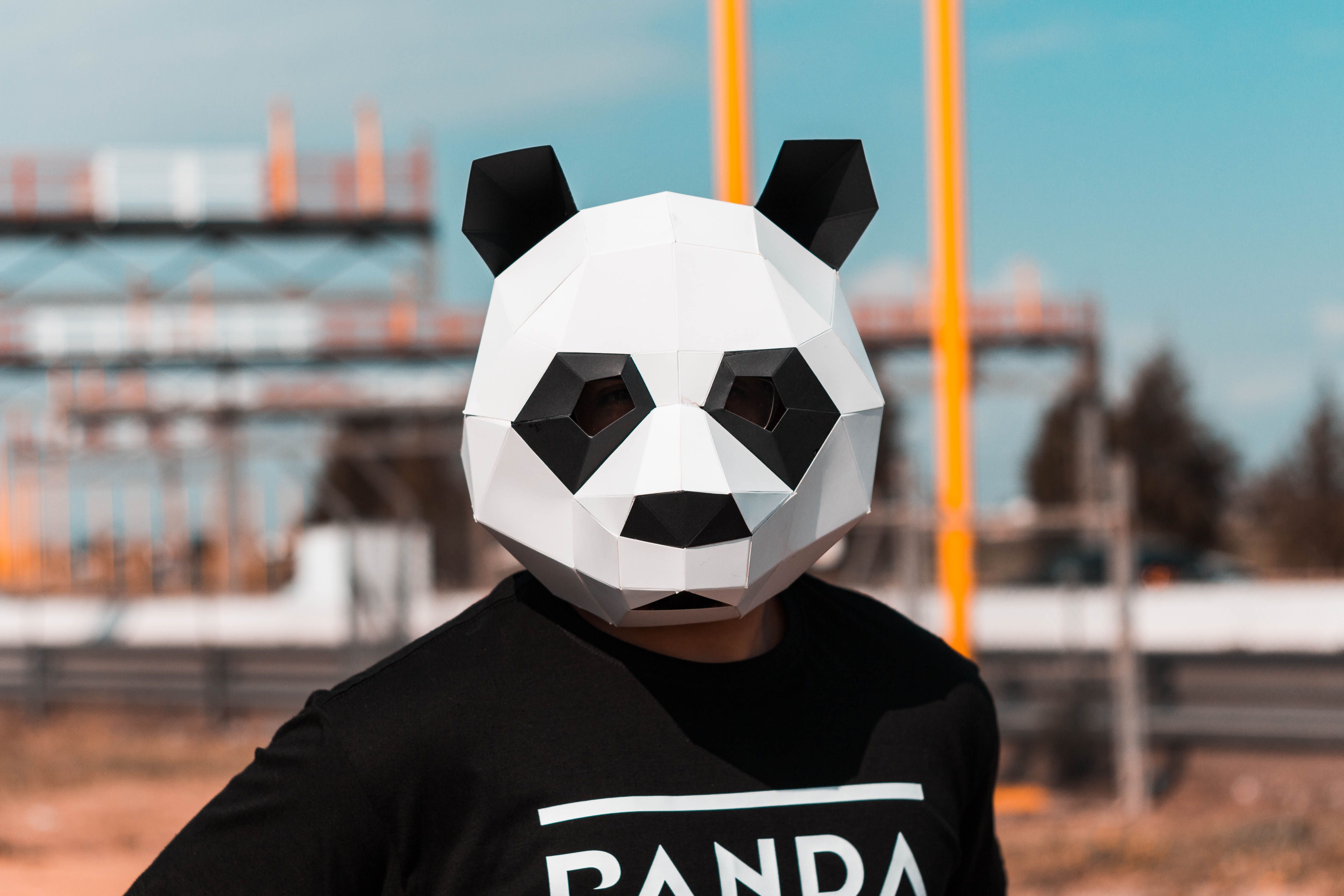 Person Wearing White And Black Panda Full Face Mask · Free