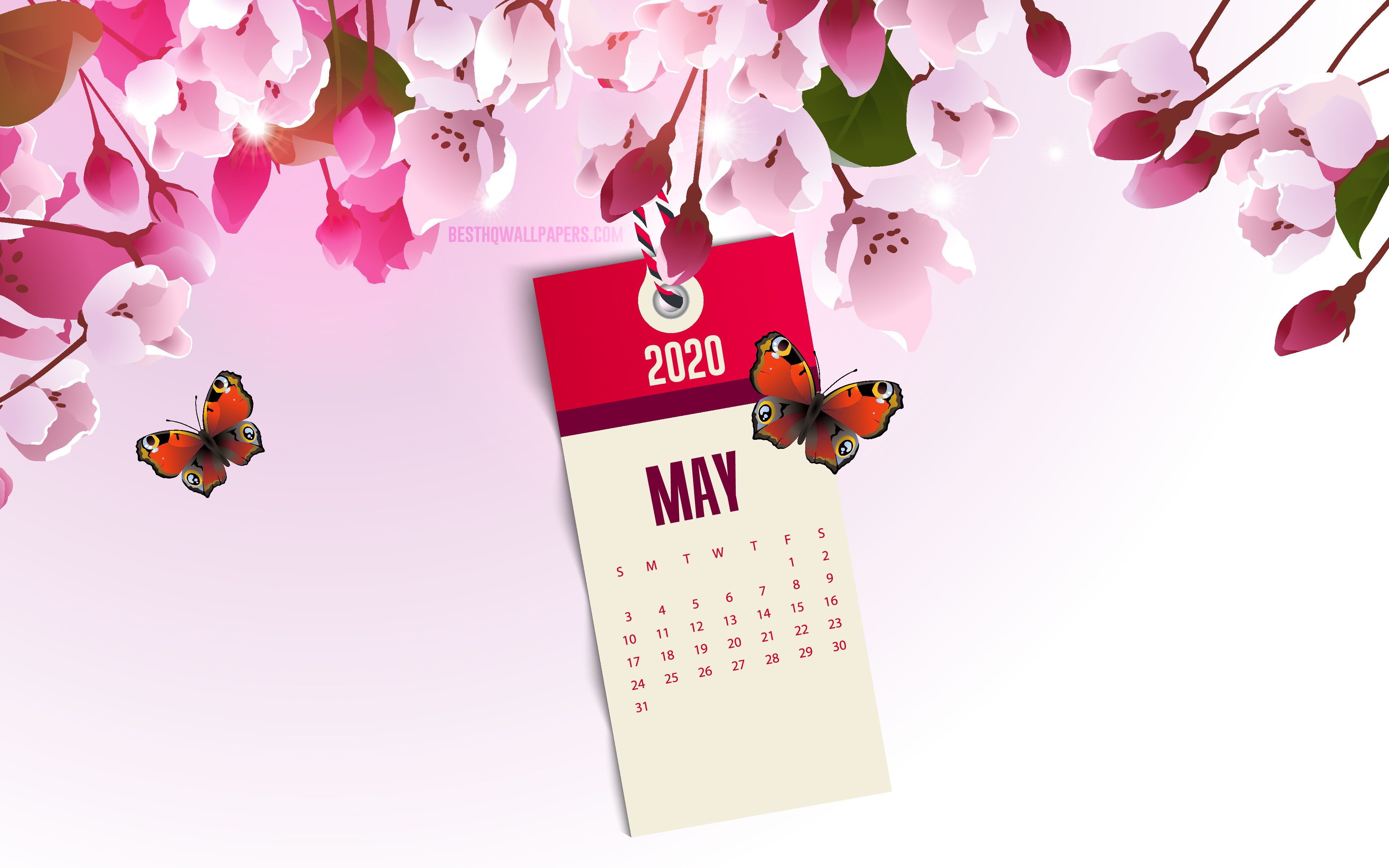 Download wallpaper 2020 May Calendar, pink spring background