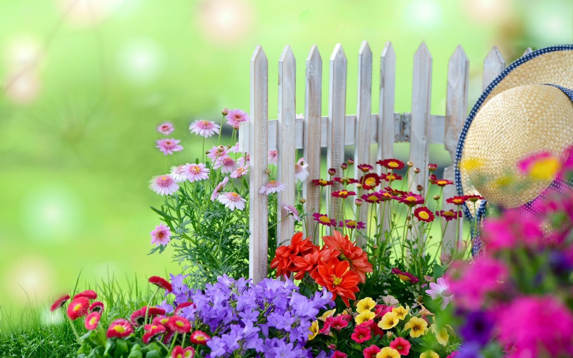 Garden wallpaperDownload free stunning background
