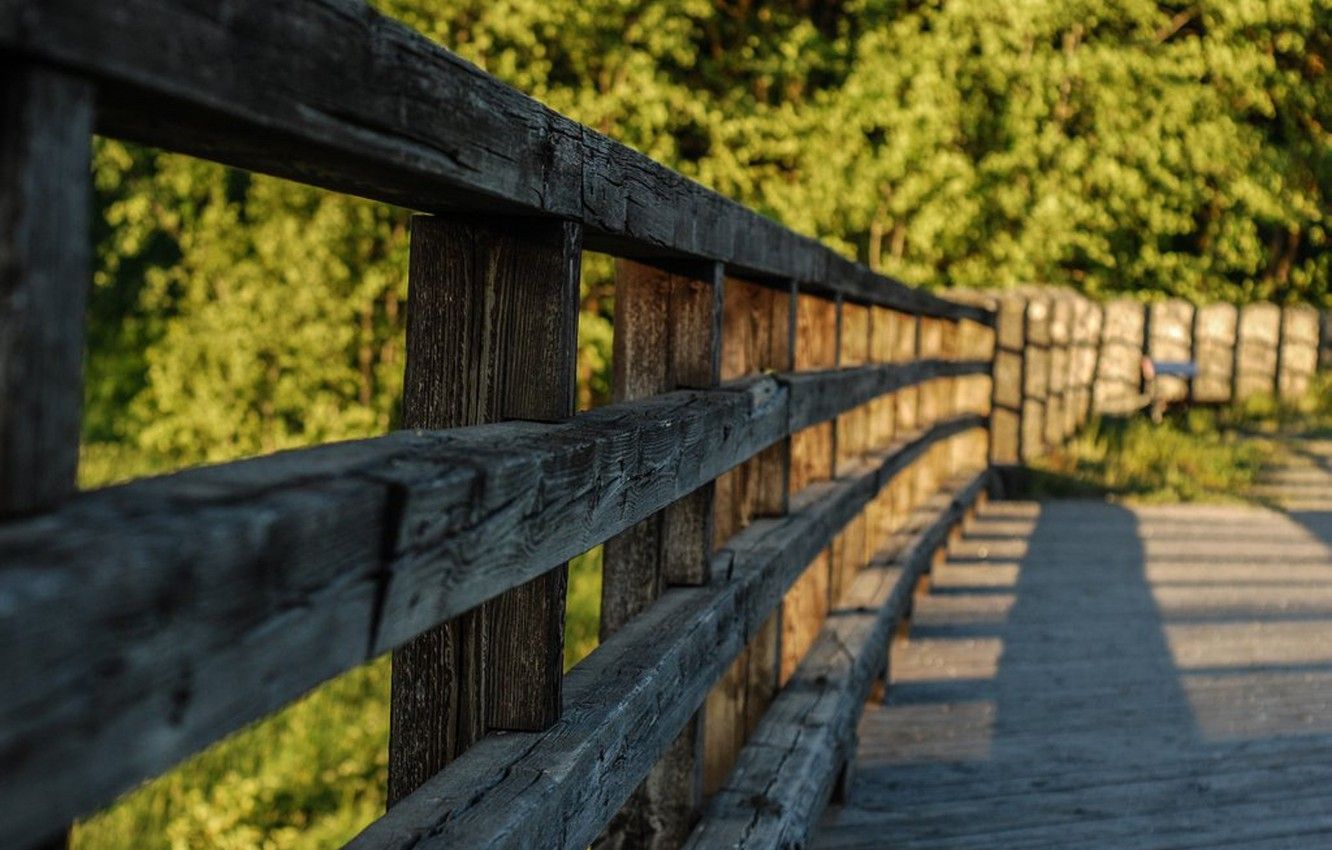 Wallpaper the fence, the garden, wooden image for desktop