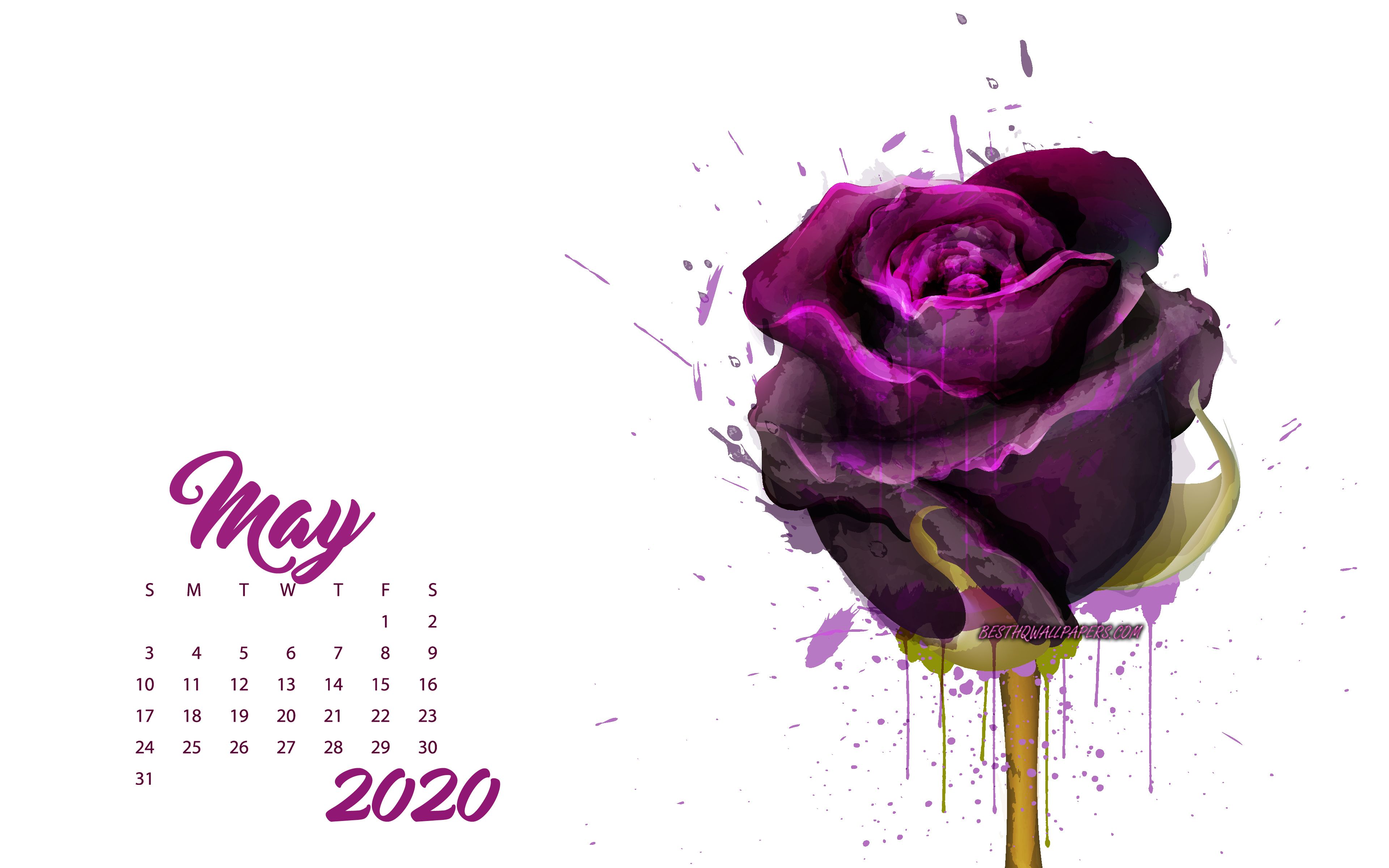 Download wallpaper 2020 May Calendar, maroon grunge rose, 2020