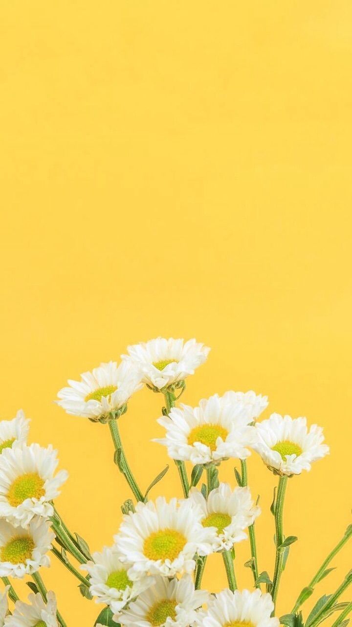 Yellow Background Tumblr