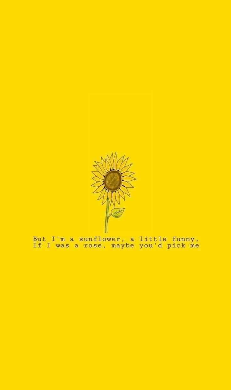 Quotes On Sunflower Wallpapers - Wallpaper Cave