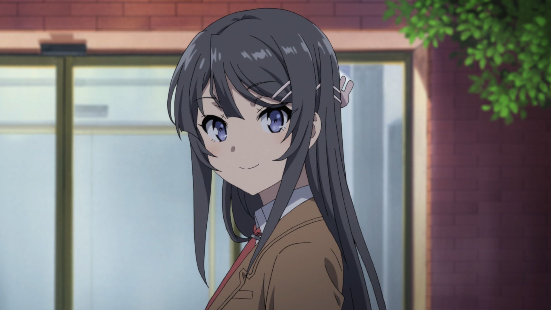 Anime, Rascal Does Not Dream of Bunny Girl Senpai, Mai Sakurajima