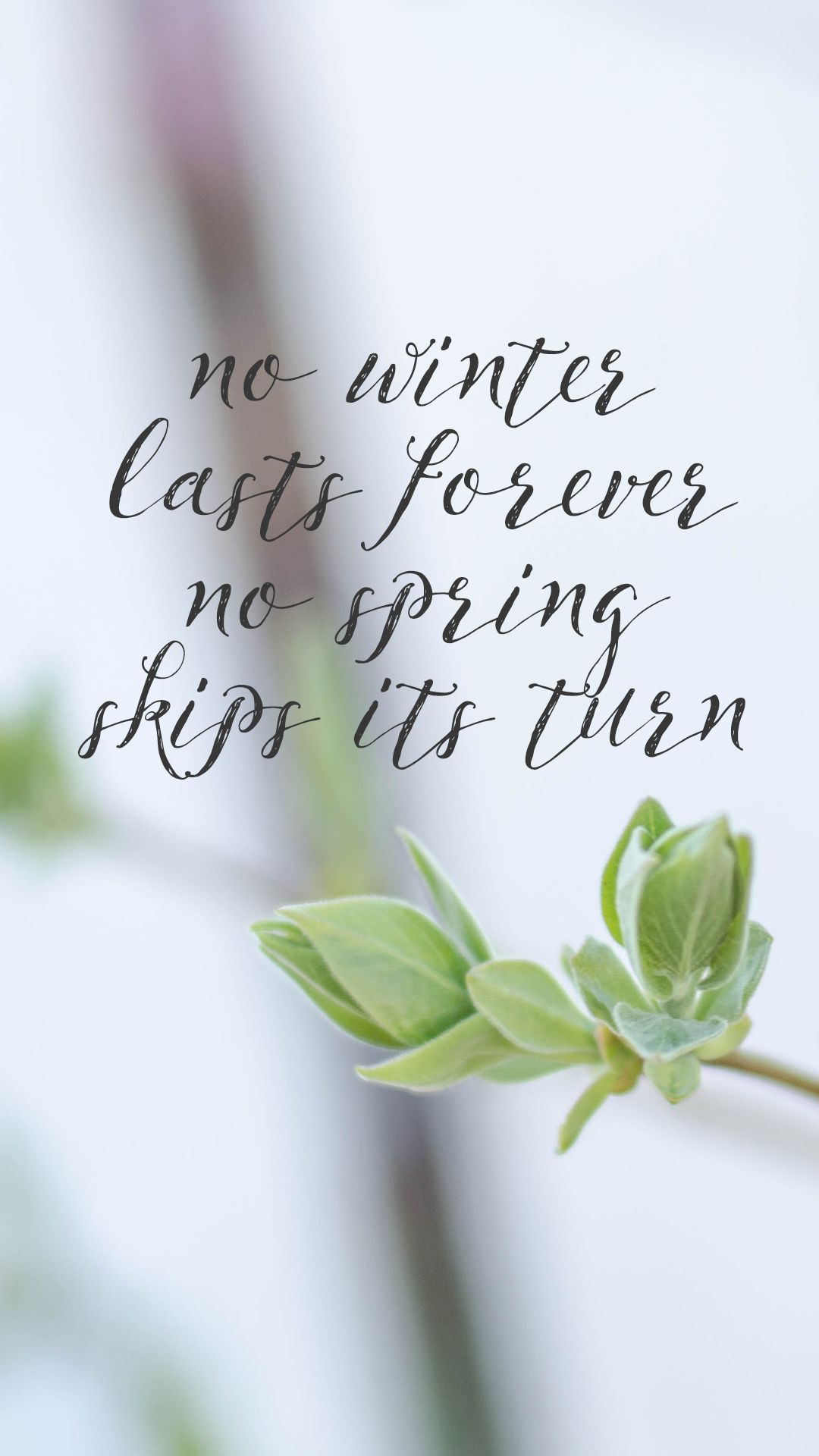 No Winter Lasts Forever- Spring Wallpaper are Here!