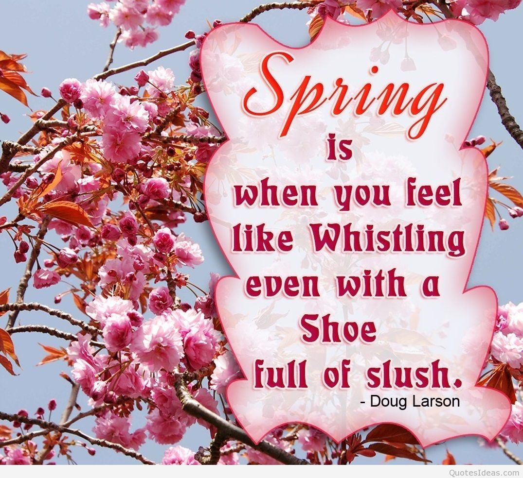 Spring quotes wallpaper and spring background hd