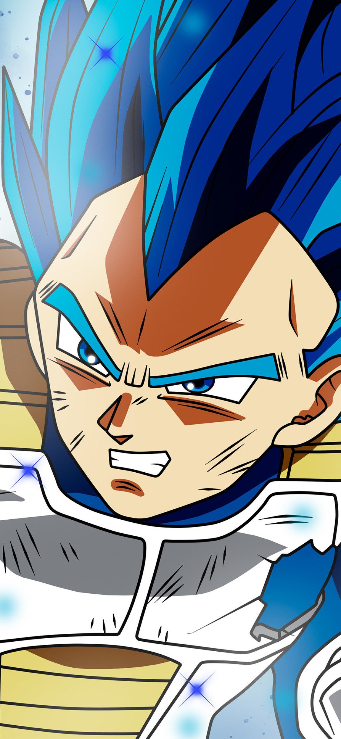 Anime Dragon Ball Super Vegeta SSJ Blue Full Power