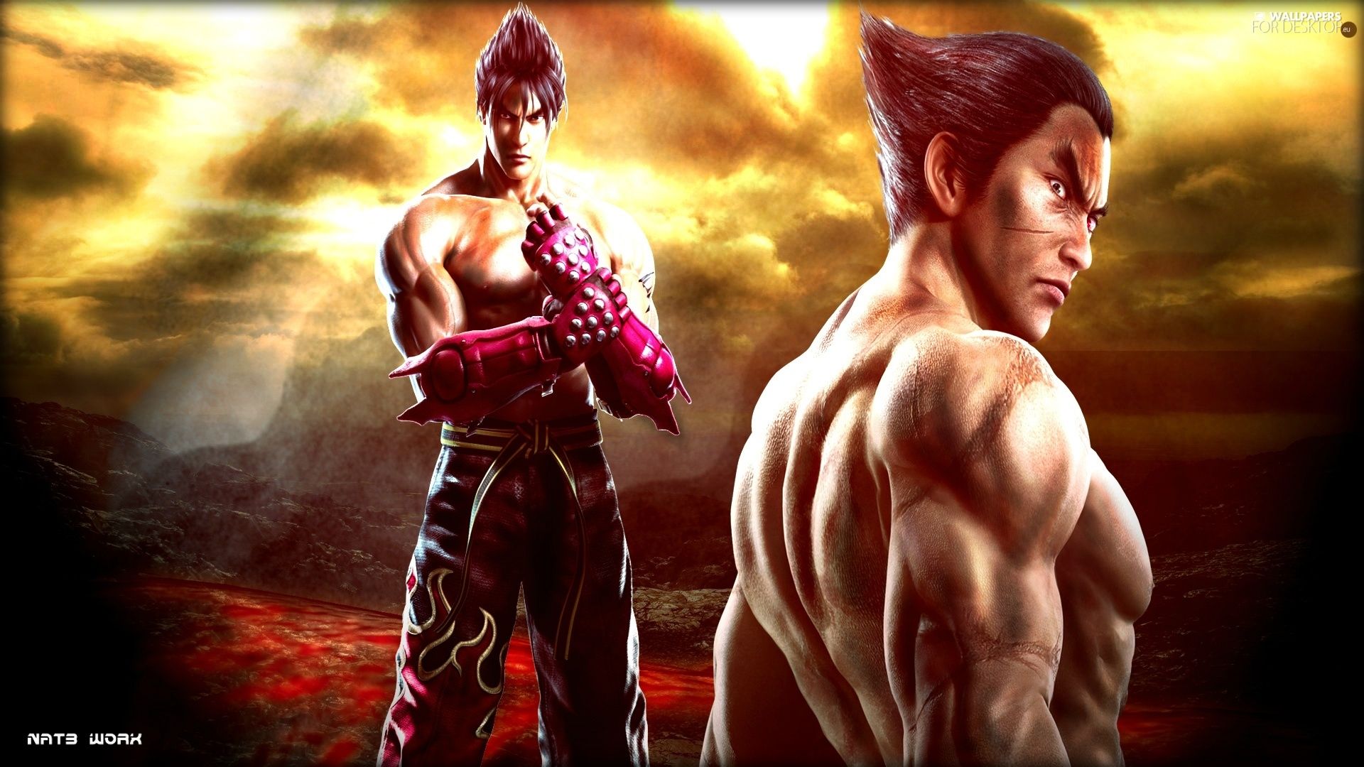 Tekken Tag Tournament Jin Kazama Wallpaper Tournament