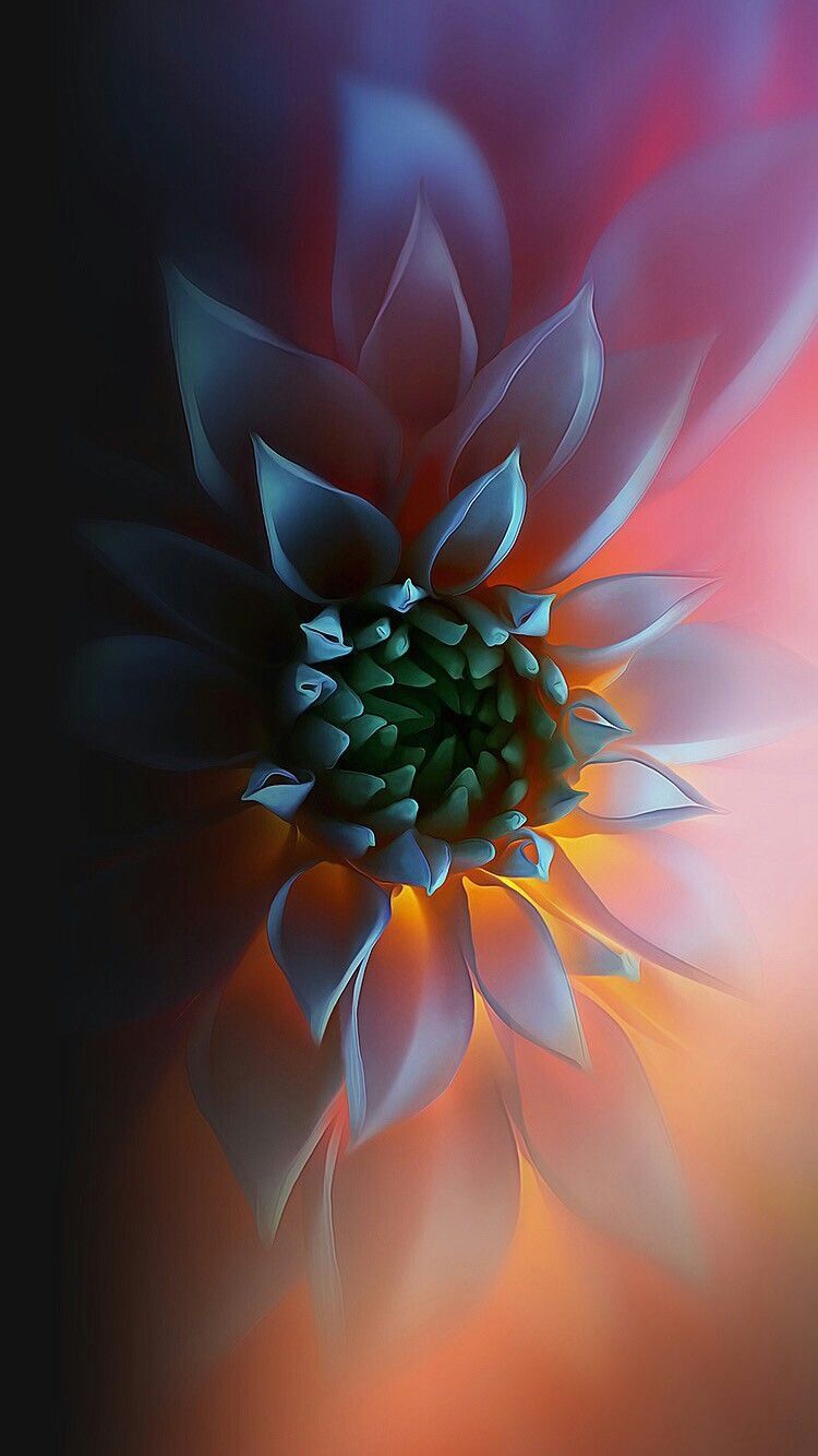 iPhone Wallpaper. Flower wallpaper, HD phone