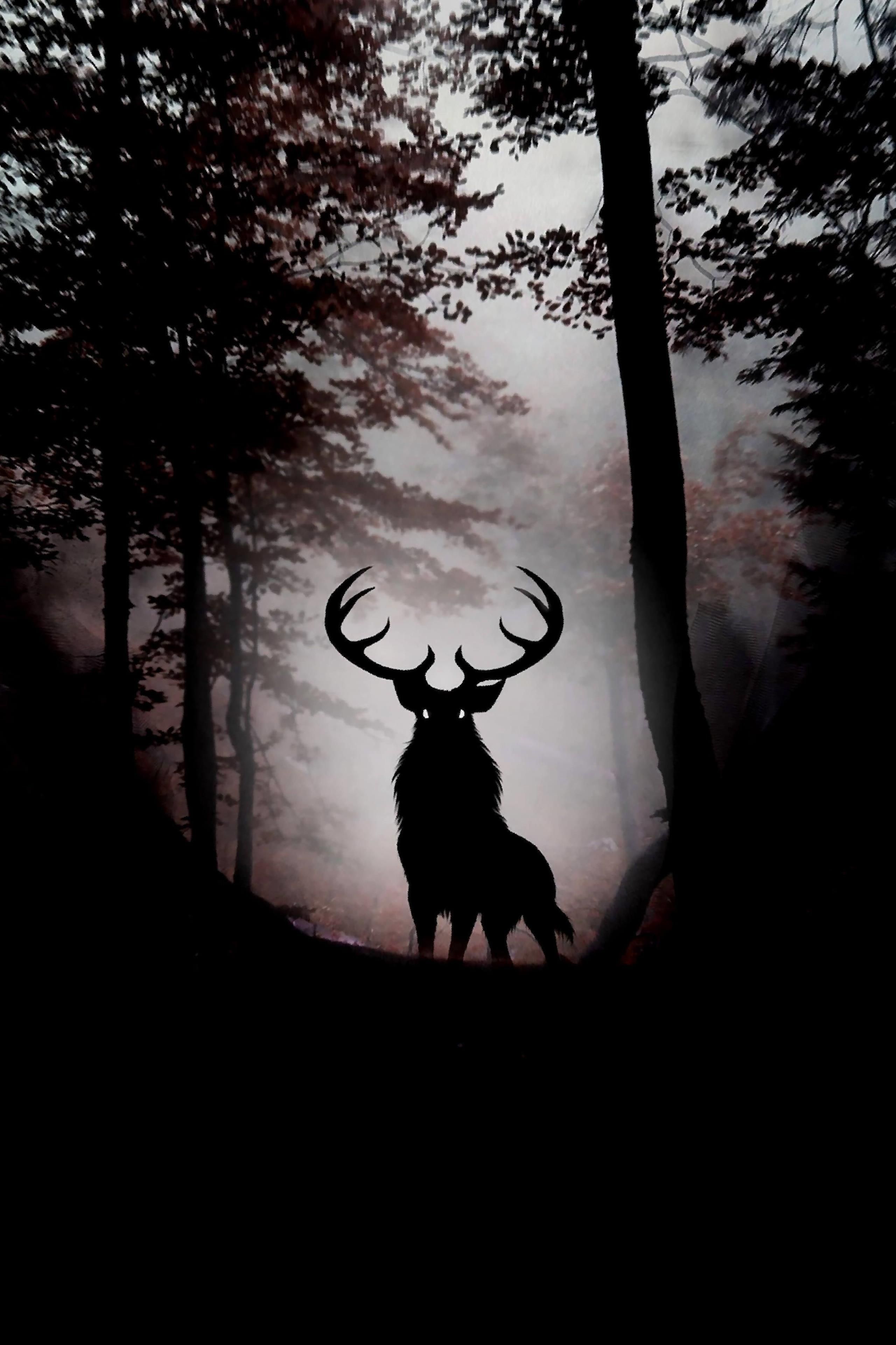 AMOLED Animal Wallpaper (con imágenes). Dibujos bonitos de