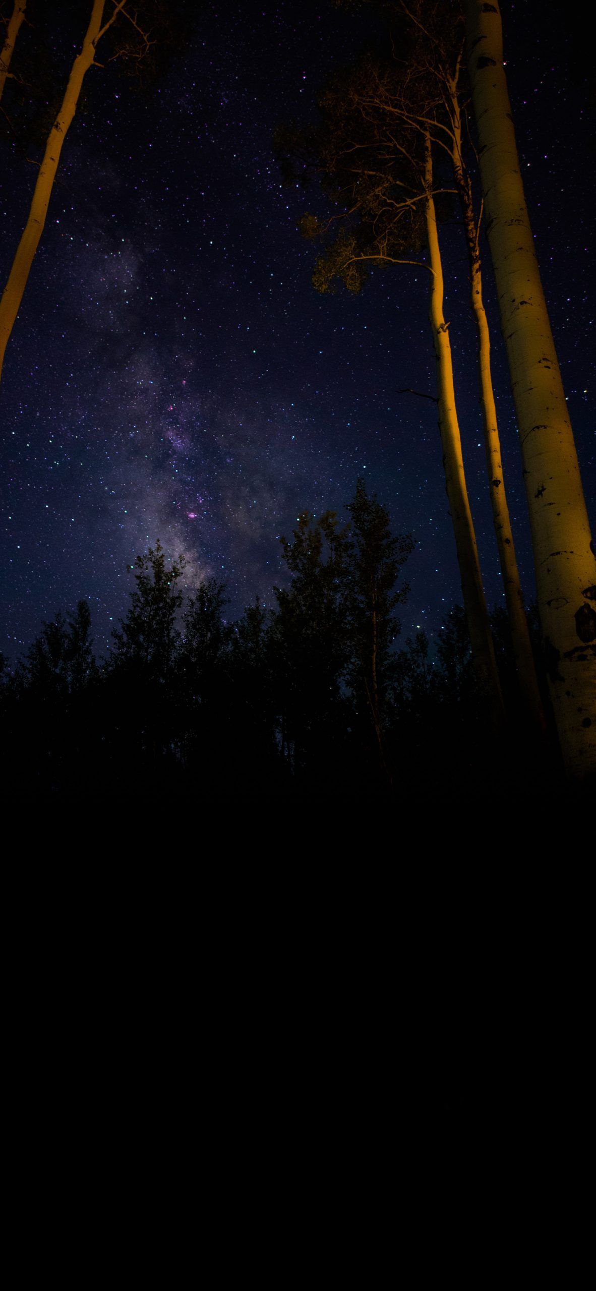 Galaxy above forest Amoled Wallpaper