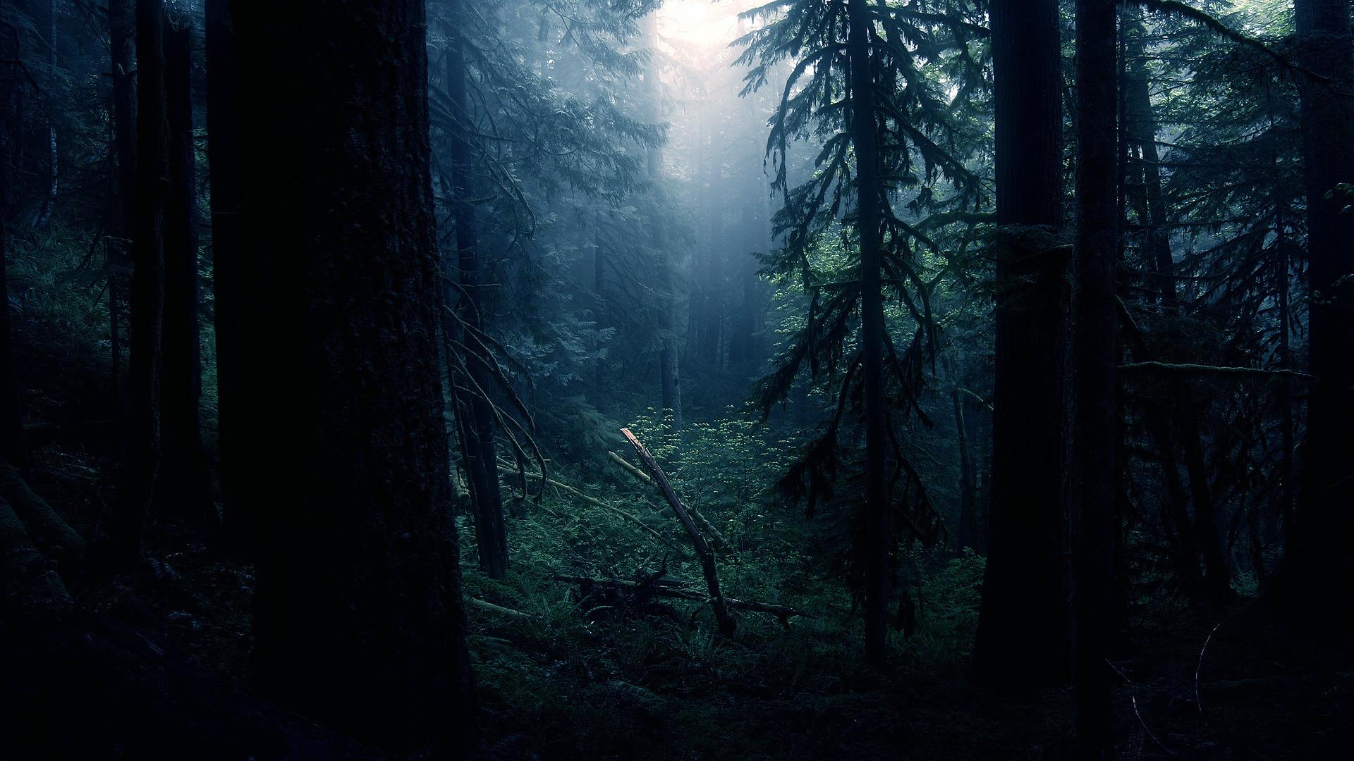 Dark Widescreen Wallpaper