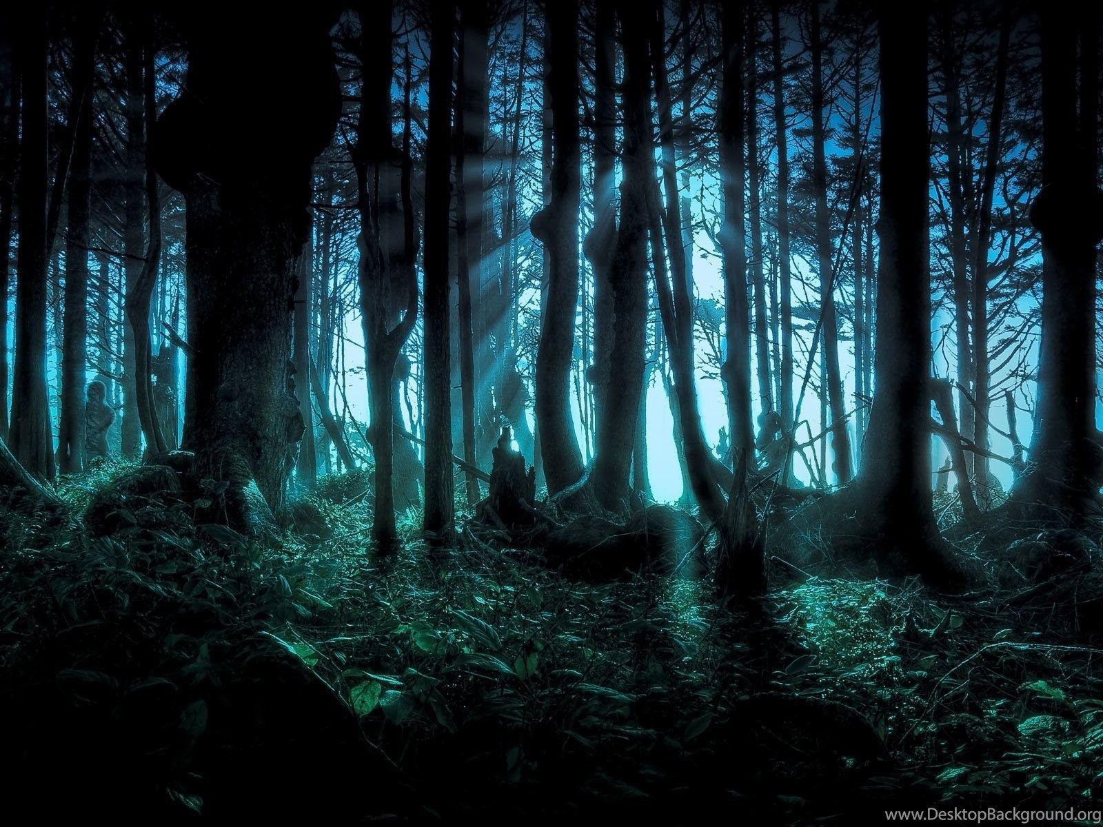 Dark Forest Windows 8.1 Theme And Wallpaper Desktop Background