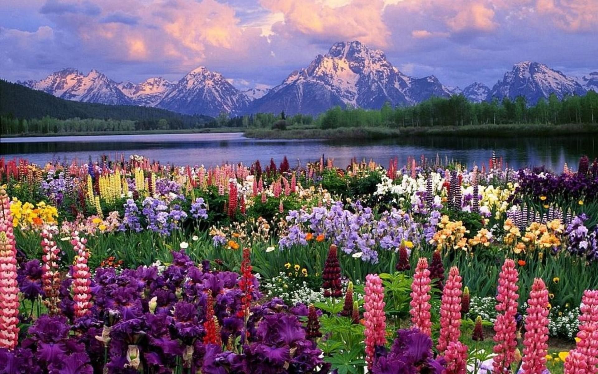 HD Spring Wallpaper for Desktop