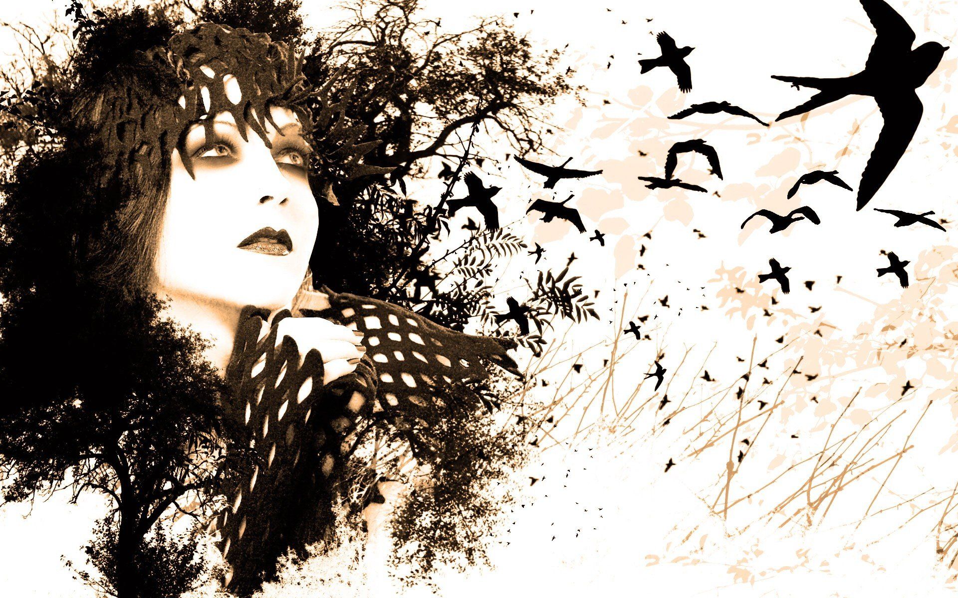 women, Eyes, Black, White, Birds, Paint, Drawings, White