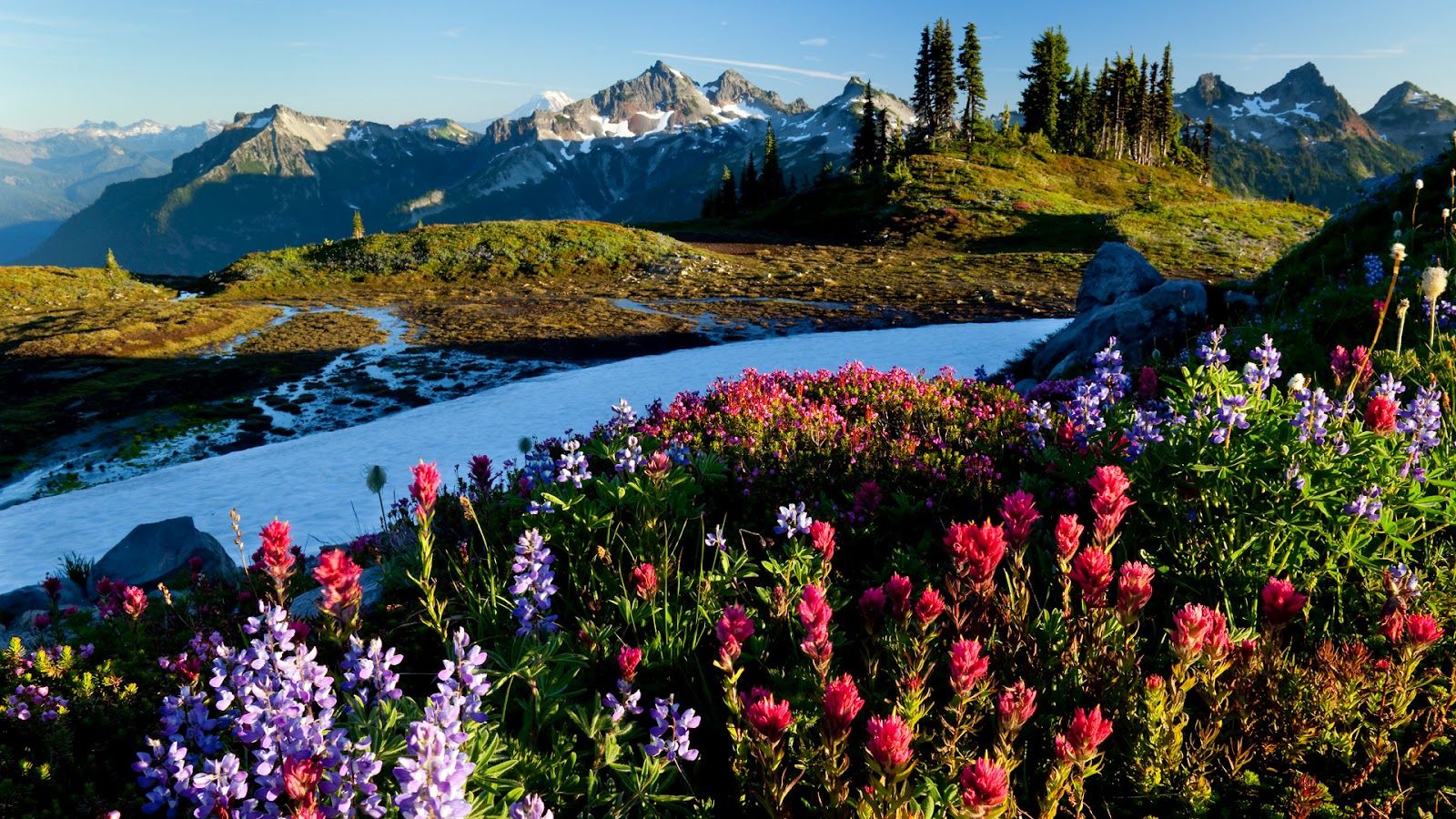 Free download Labels amazing places amazing world hq photo nature