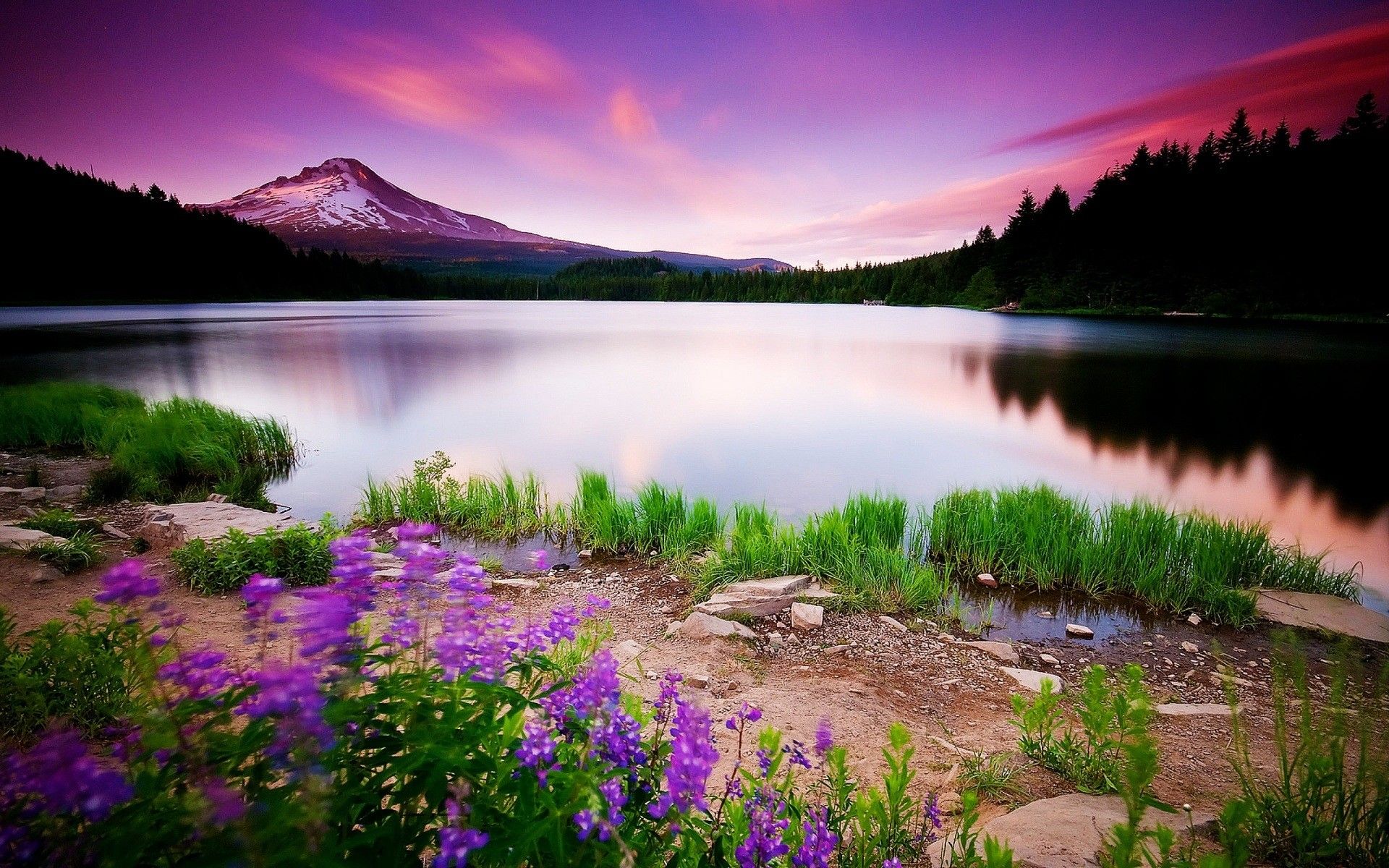 HD Spring Wallpaper for Desktop