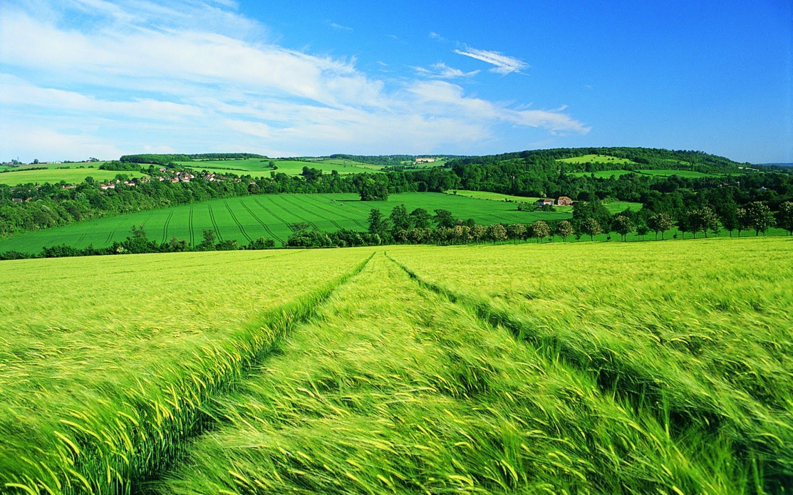 Download Free Grasslands Wallpaper. Most beautiful places in