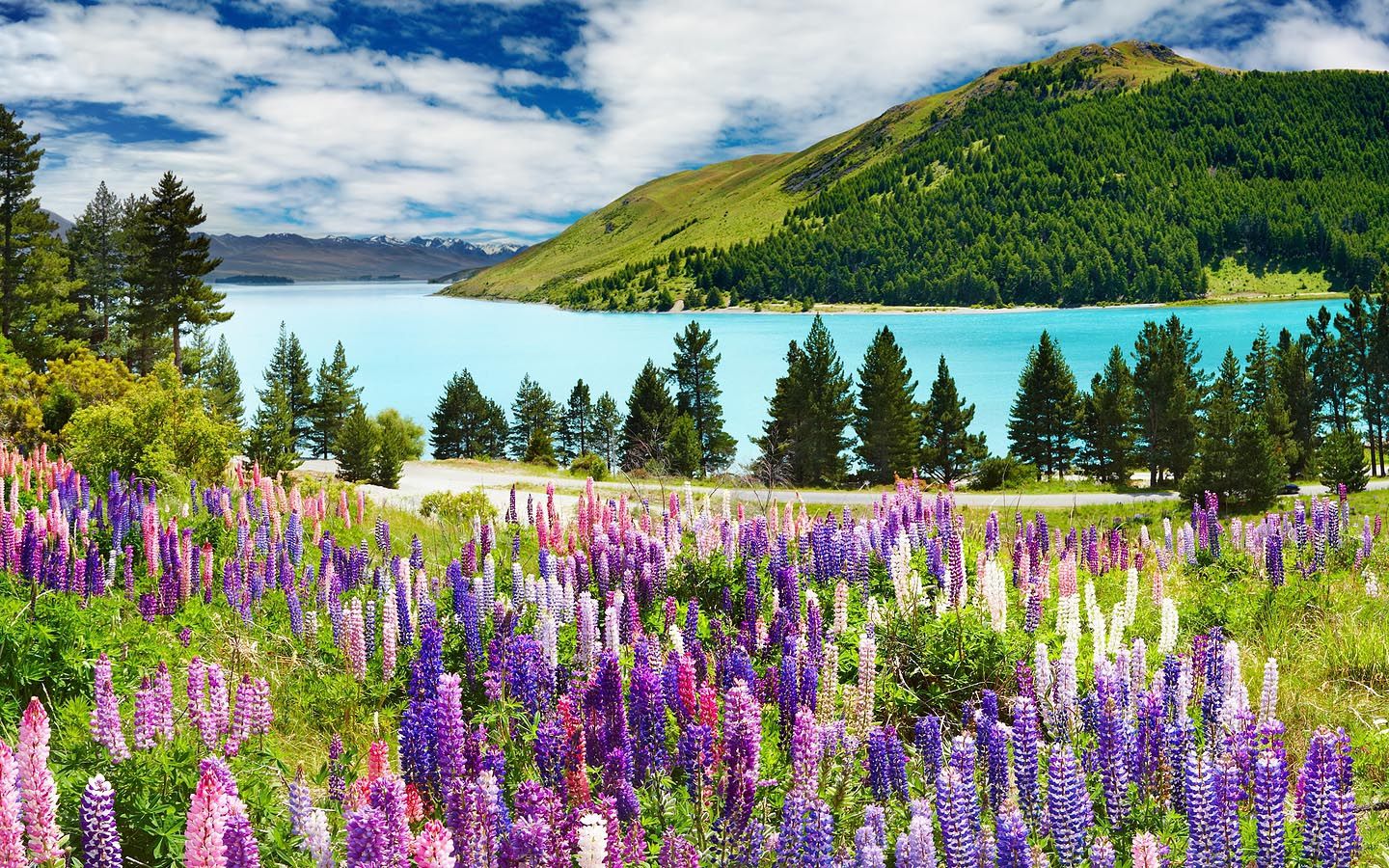 Pc Mob, Wallpaper V Beautiful Seasons