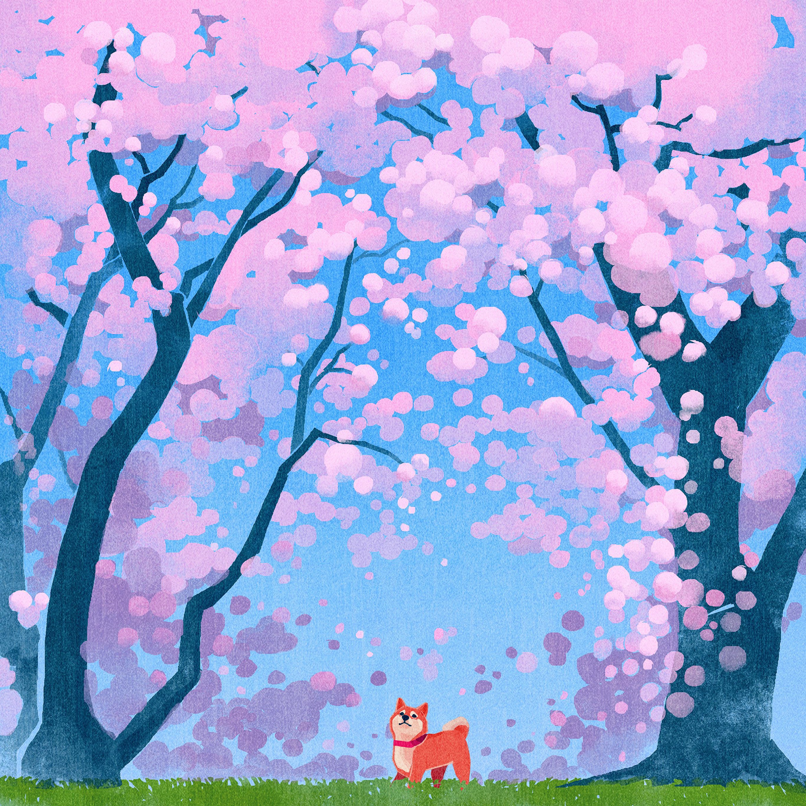Cute Siba Dog Animal Spring Illustration Art Wallpaper