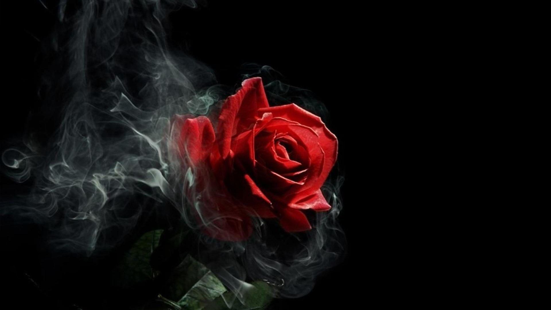 Gothic Roses Wallpaper Free Gothic Roses Background