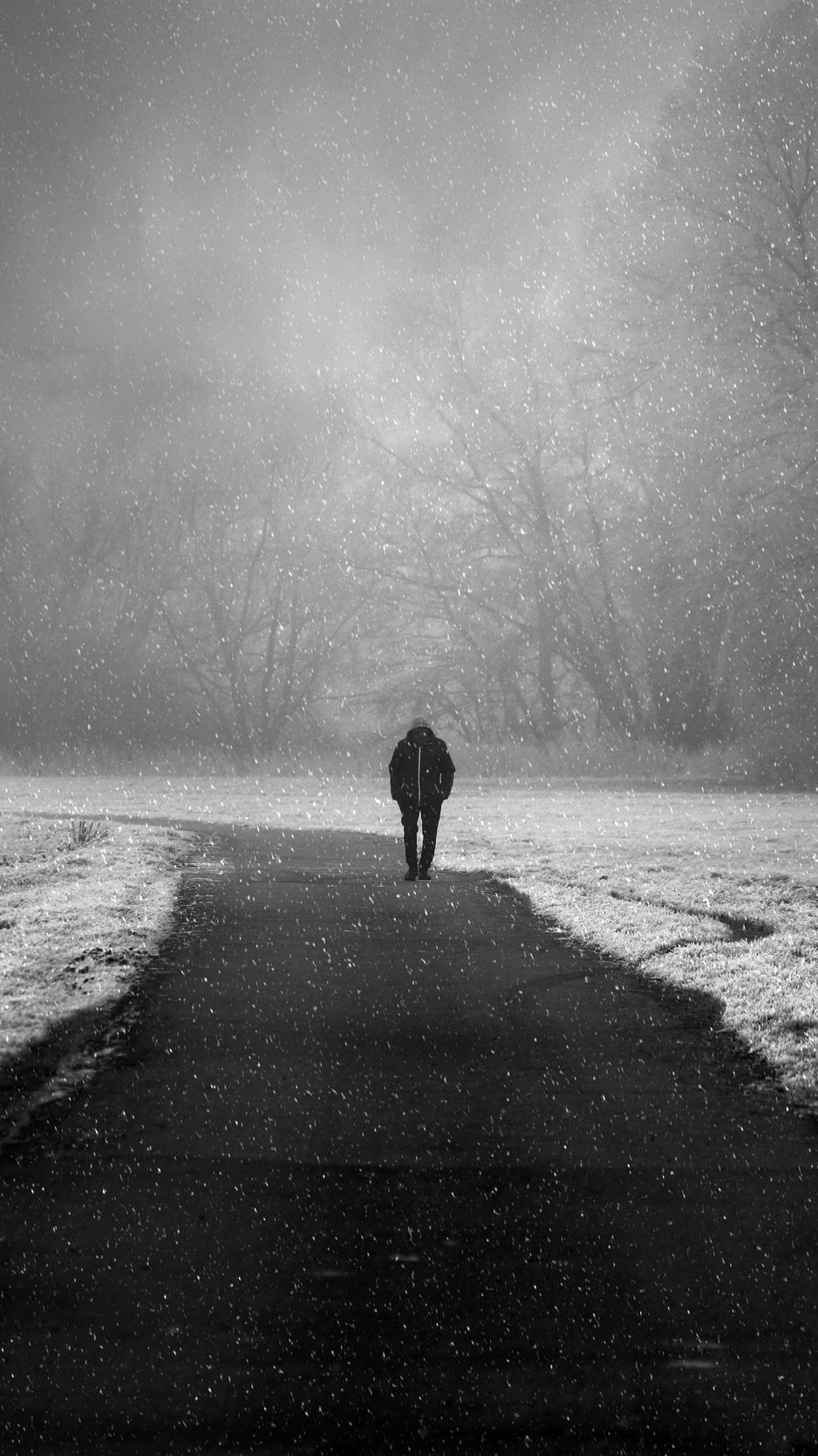 Download wallpaper 938x1668 silhouette, lonely, snowfall, fog