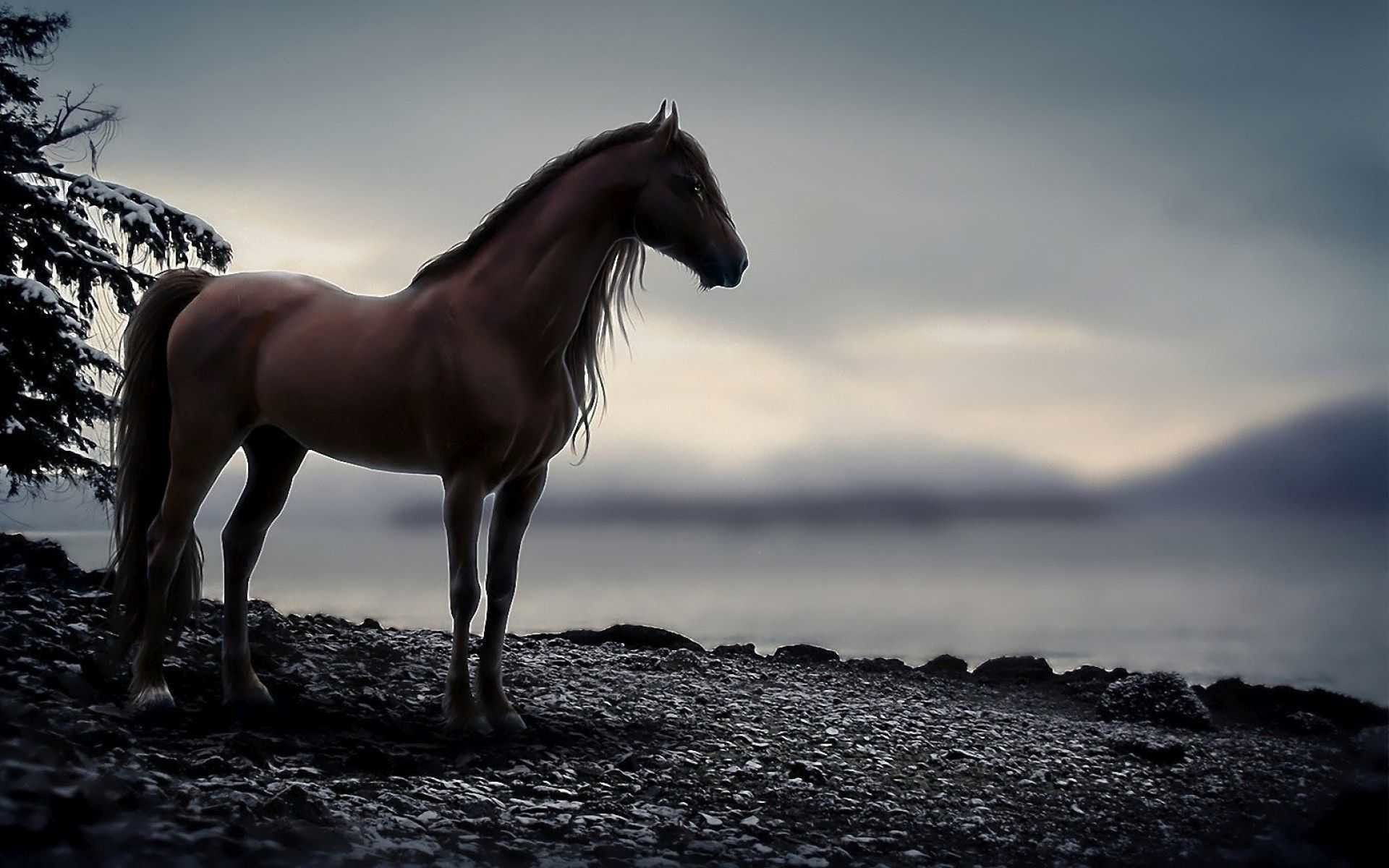 Christmas Horses Wallpaper for Computer