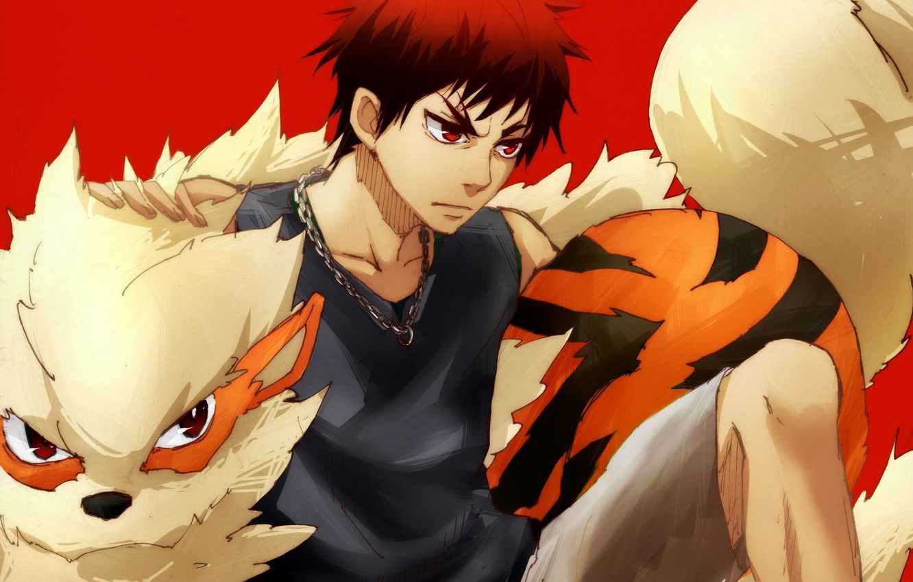 Wallpaper anime, art, guy, Kuroko From Basket, Kuroko's Basketball