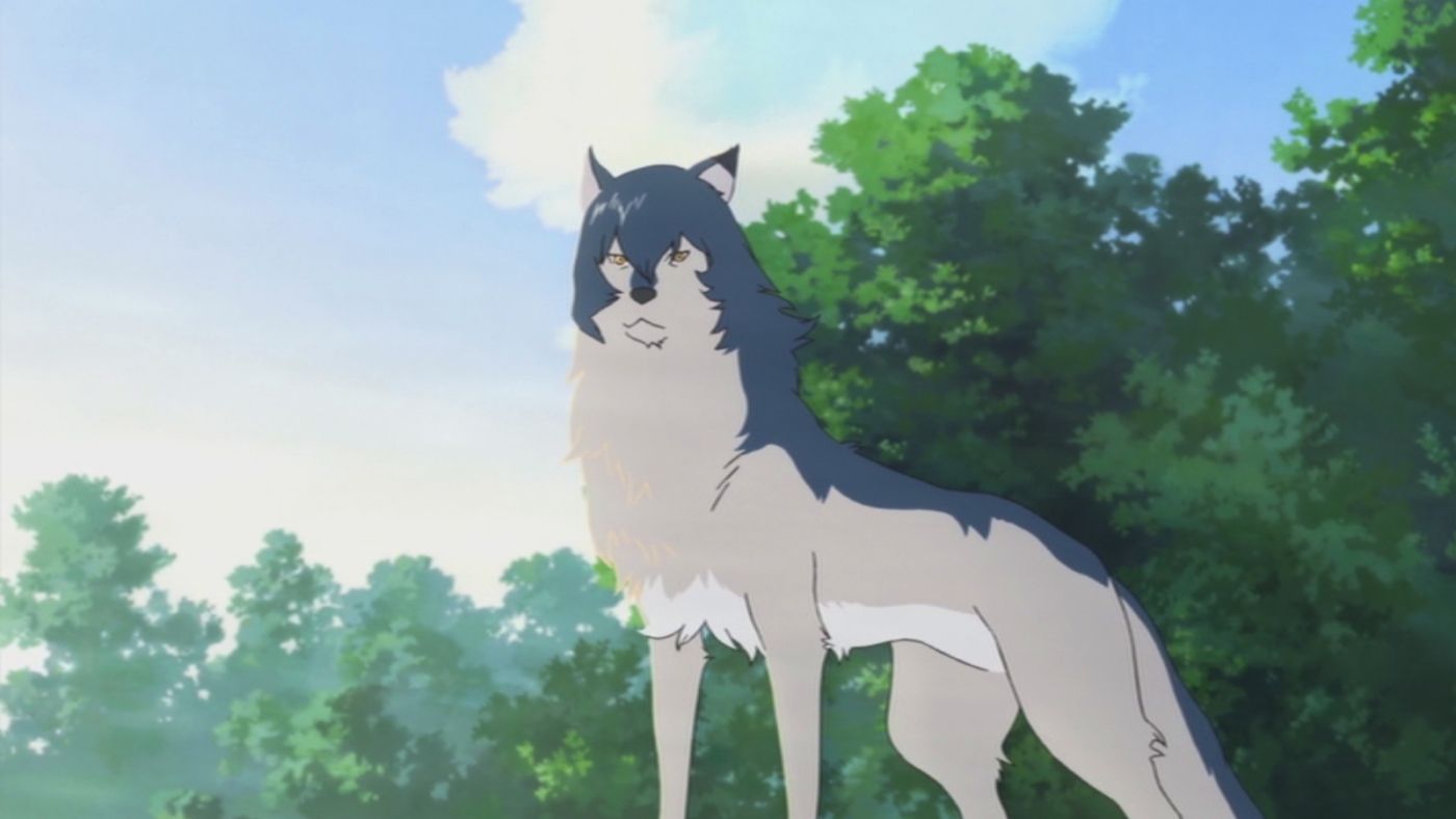 Wolf Children Anime Wallpapers Wallpaper Cave wolf-children-anime-wallpapers-wallpaper-cave