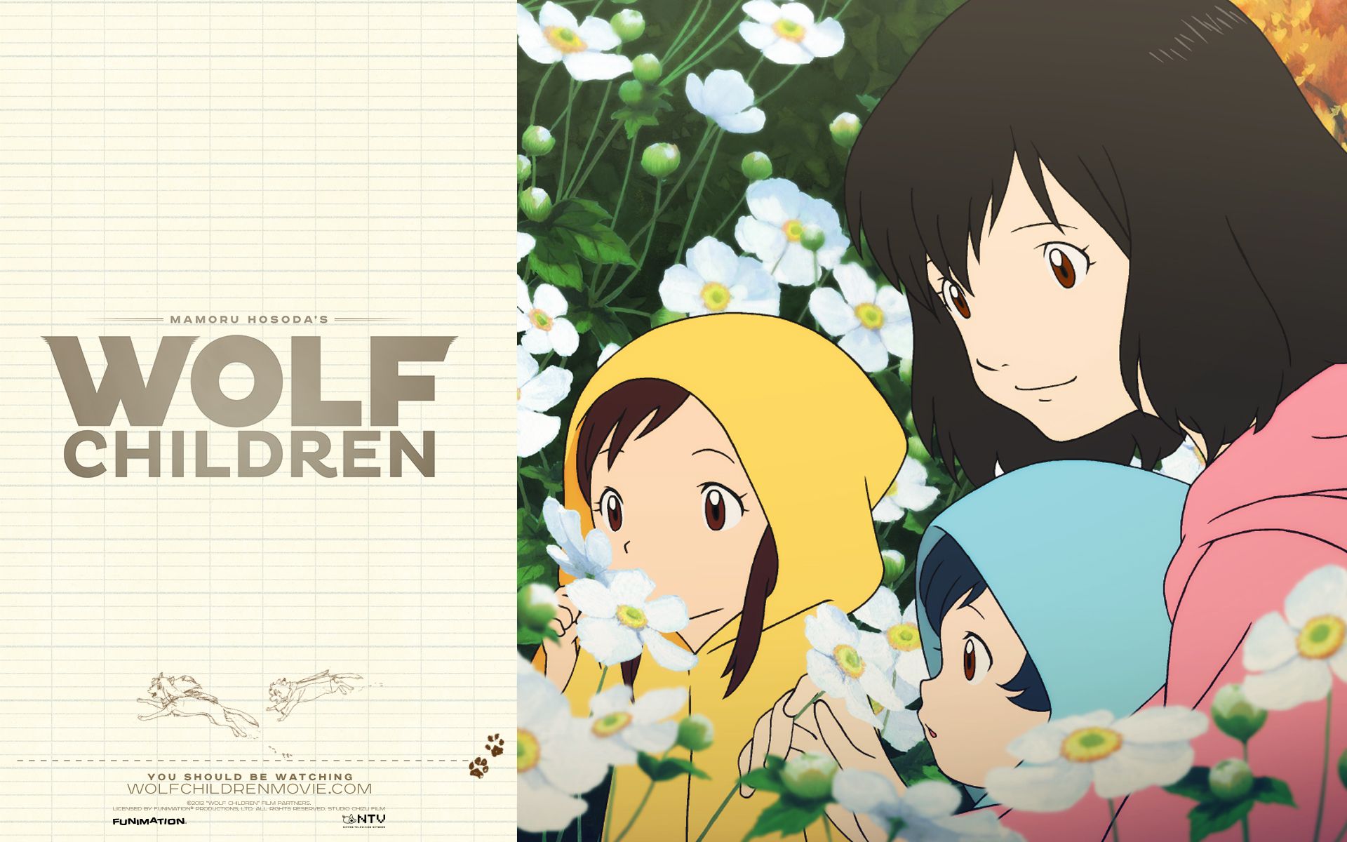 Wolf Children Anime Wallpapers Wallpaper Cave