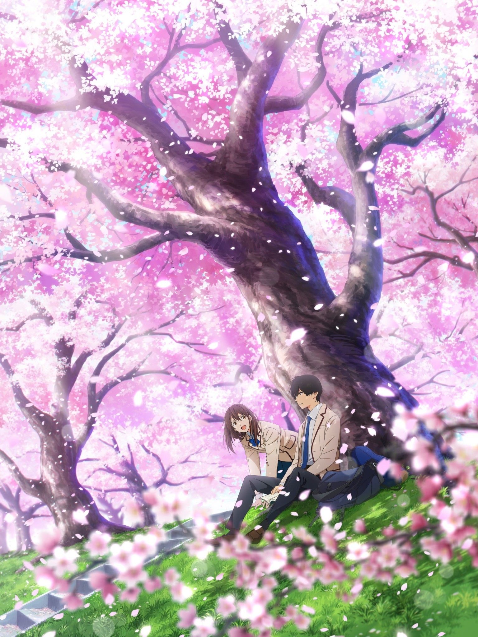 Download 1536x2048 Yamauchi Sakura, Kimi No Suizou Wo Tabetai