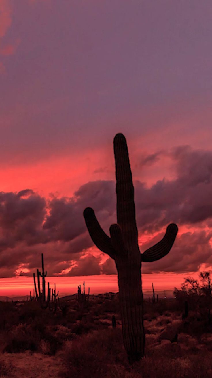 Vibrant Desert Sunset Time Lapse Stock Footage Video 100% Royalty