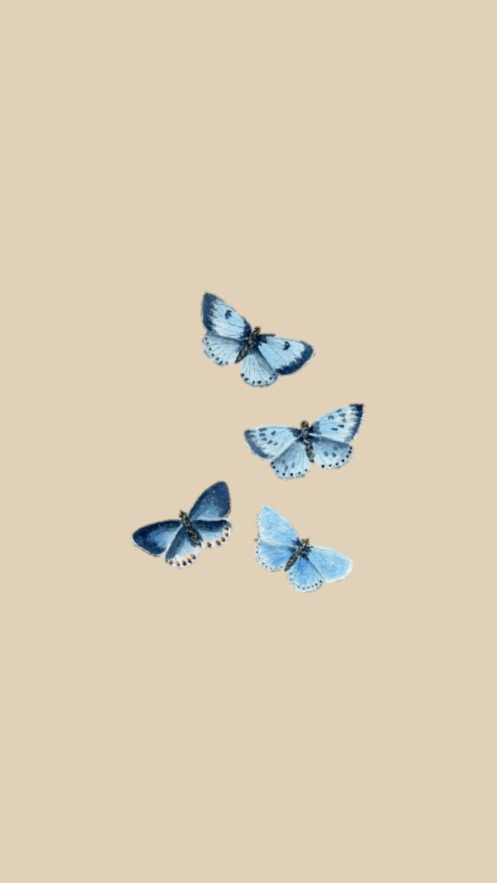 Aesthetic Simple Butterfly Wallpapers - Wallpaper Cave