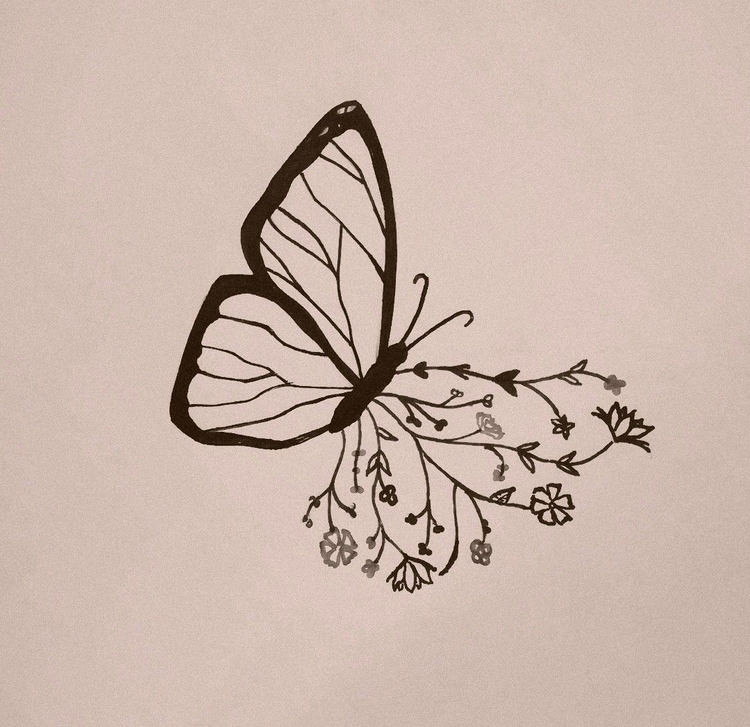 Aesthetic Butterfly Drawing.