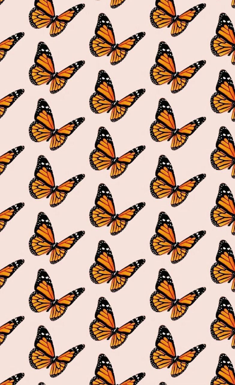 Tumblr Butterfly Laptop Wallpaper
