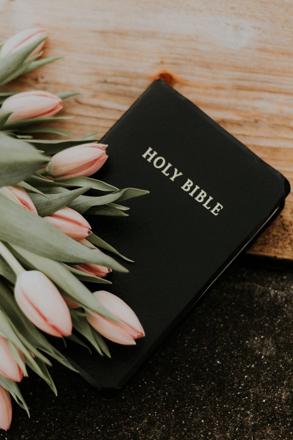 Free Bible Picture
