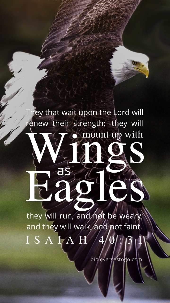 Bald Eagle Isaiah 40:31 Phone Wallpaper