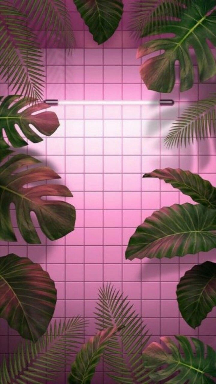 Tropical Aesthetic Wallpaper Free Tropical Aesthetic