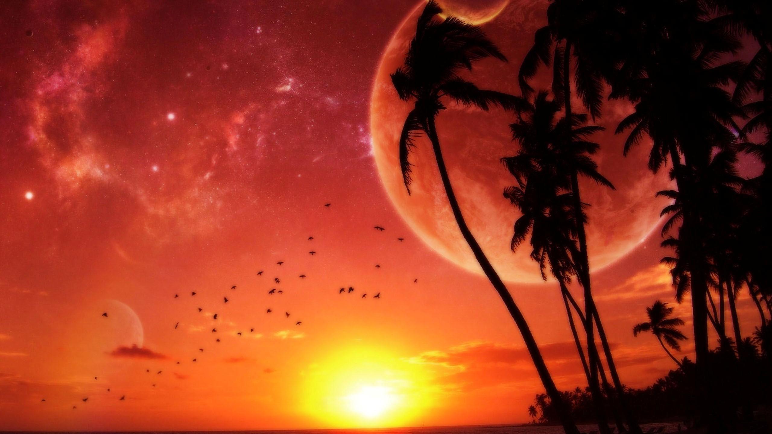 Free download Tropical Beach Sunset Wallpaper [2560x1440]