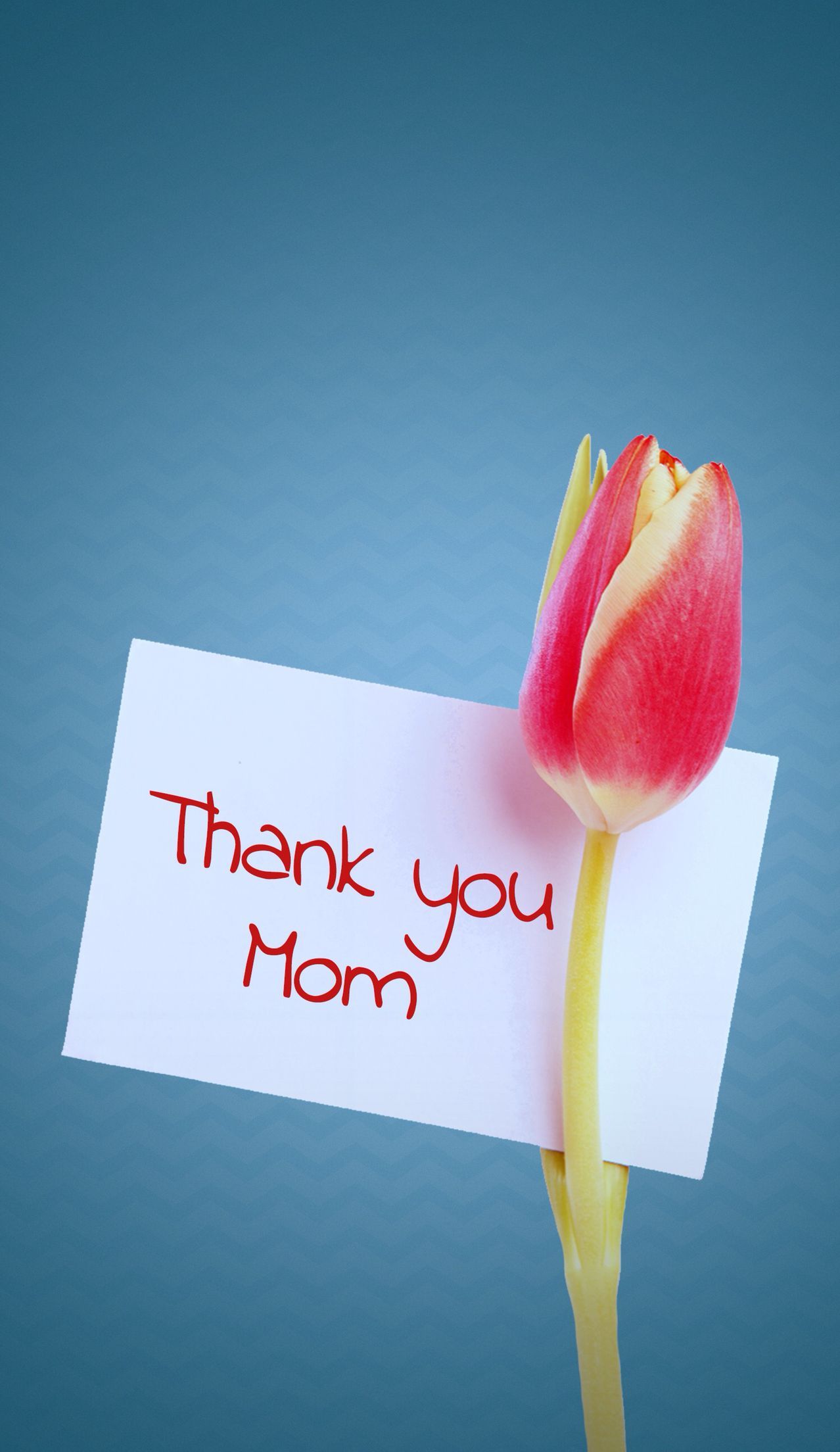 Happy Mothers day and Backgrounds purple mothers day HD wallpaper  Pxfuel