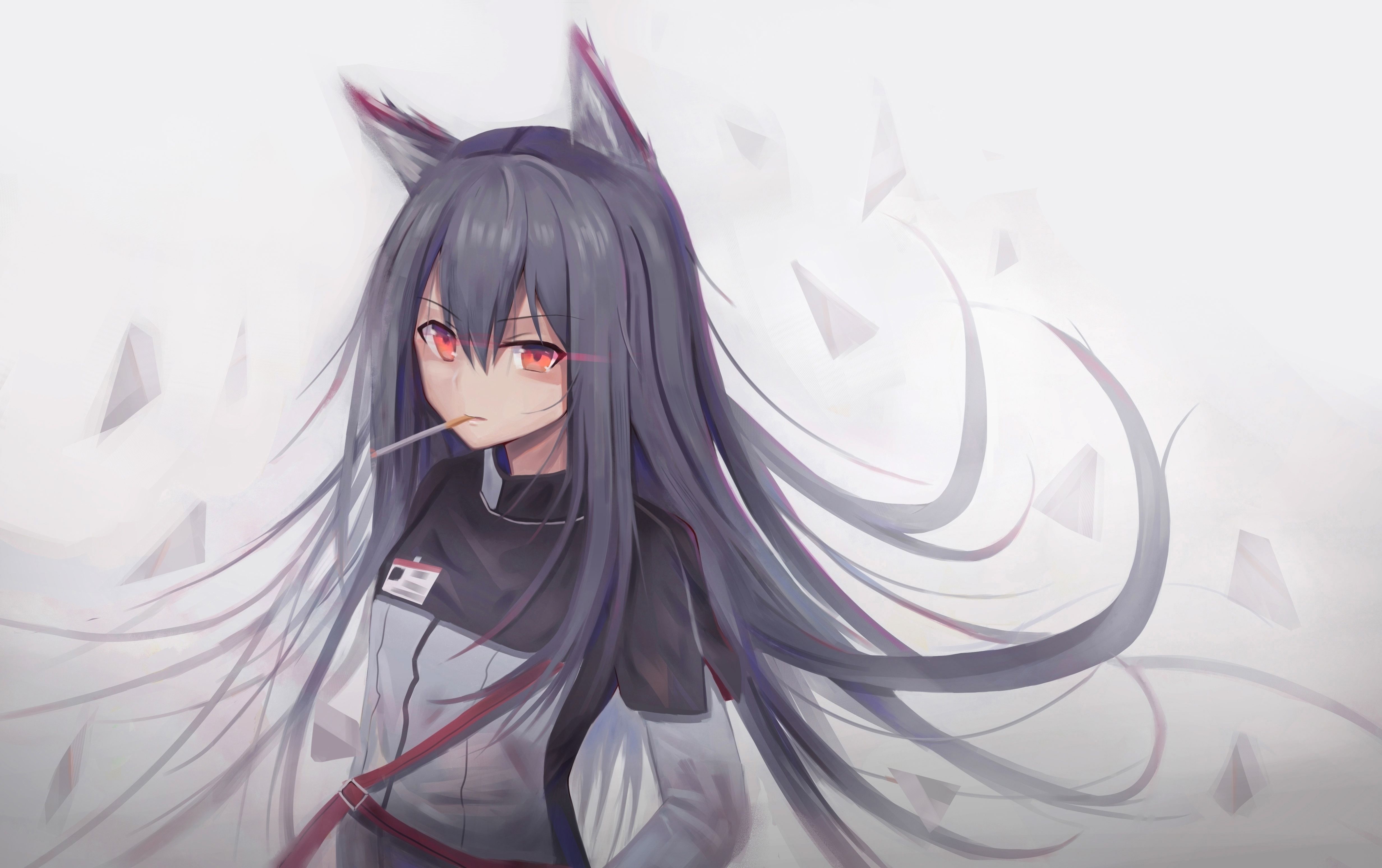 Arknights. Anime Image Board