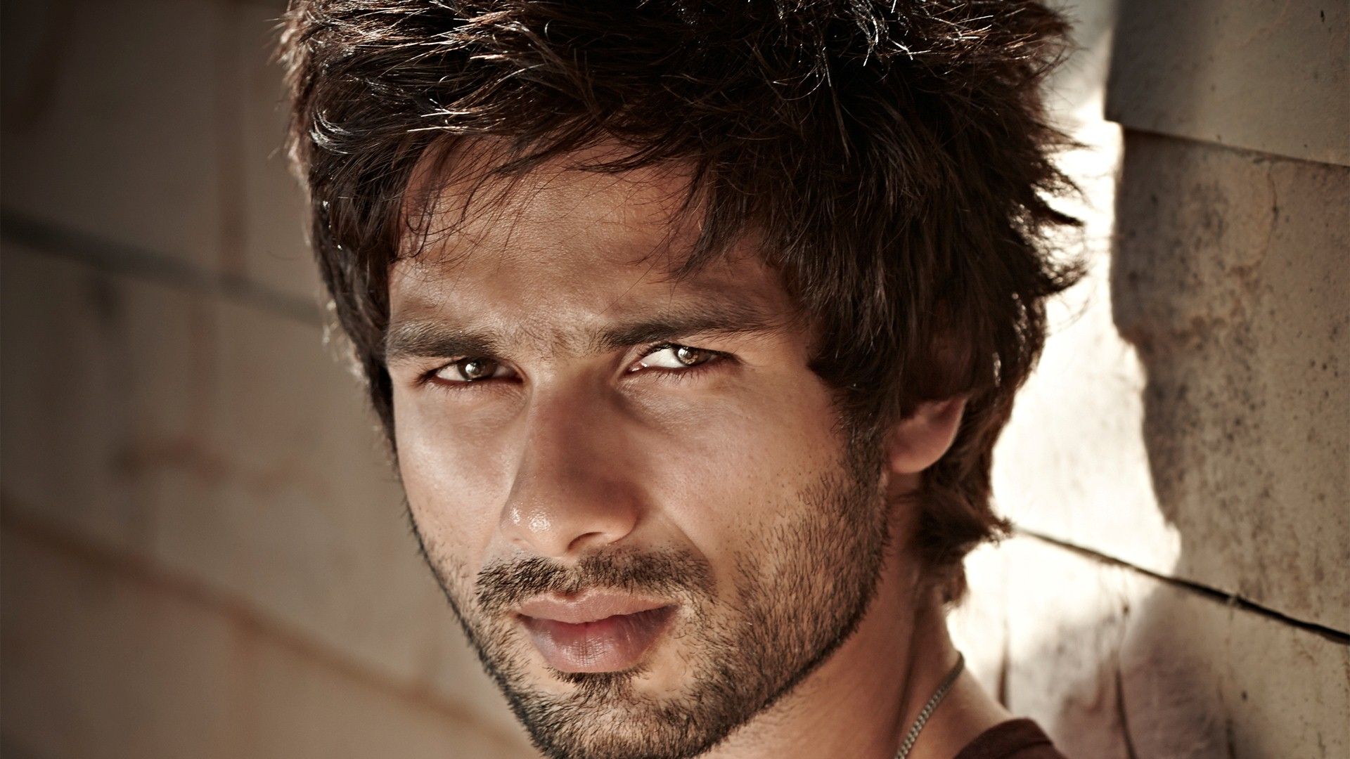 Shahid Kapoor wallpaper / Shahid Kapoor - Bollywood Photos